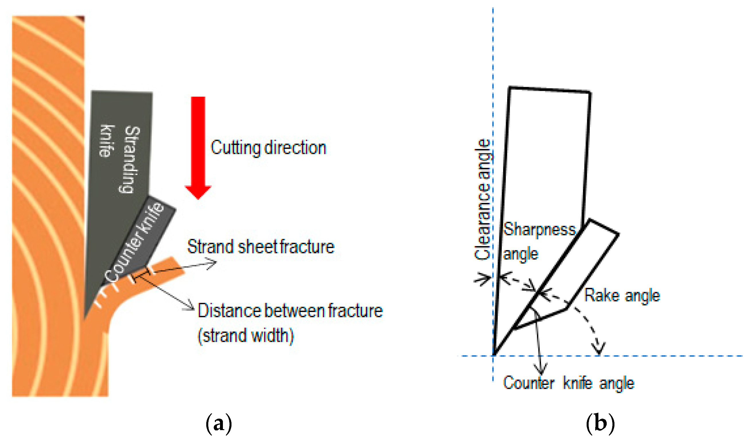 Forests 14 02182 g003