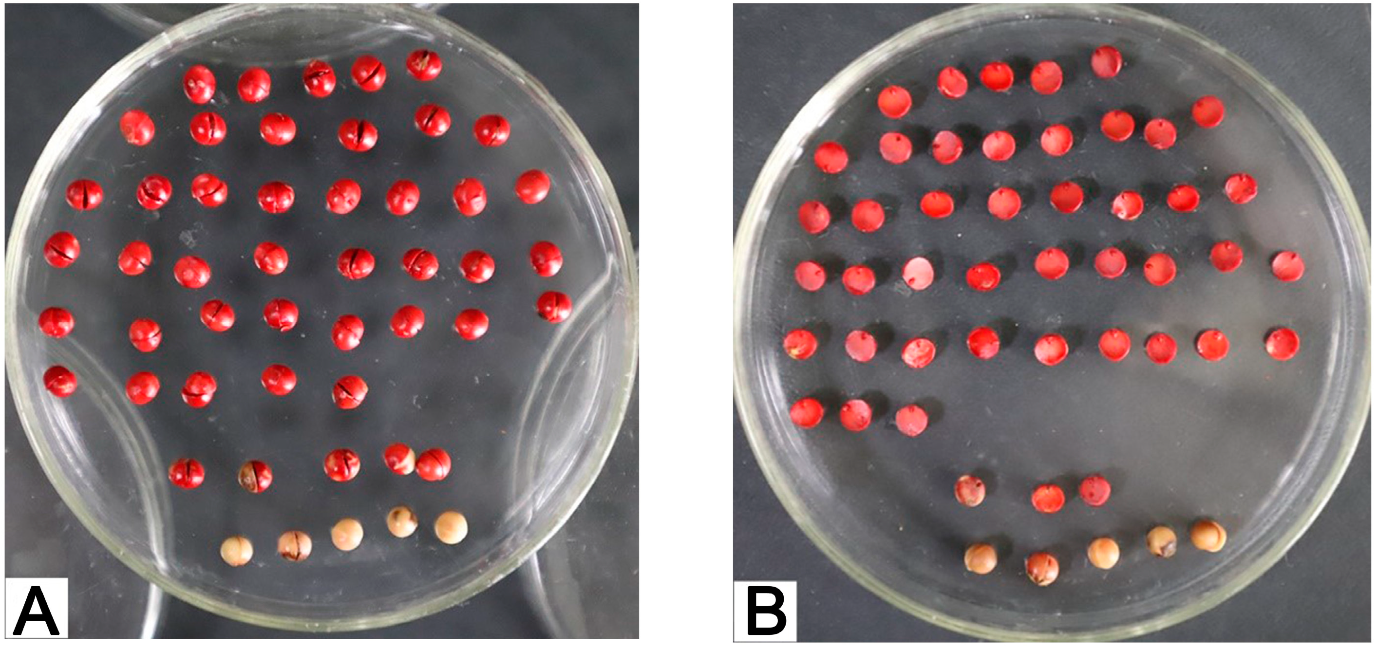 Forests 14 02183 g001