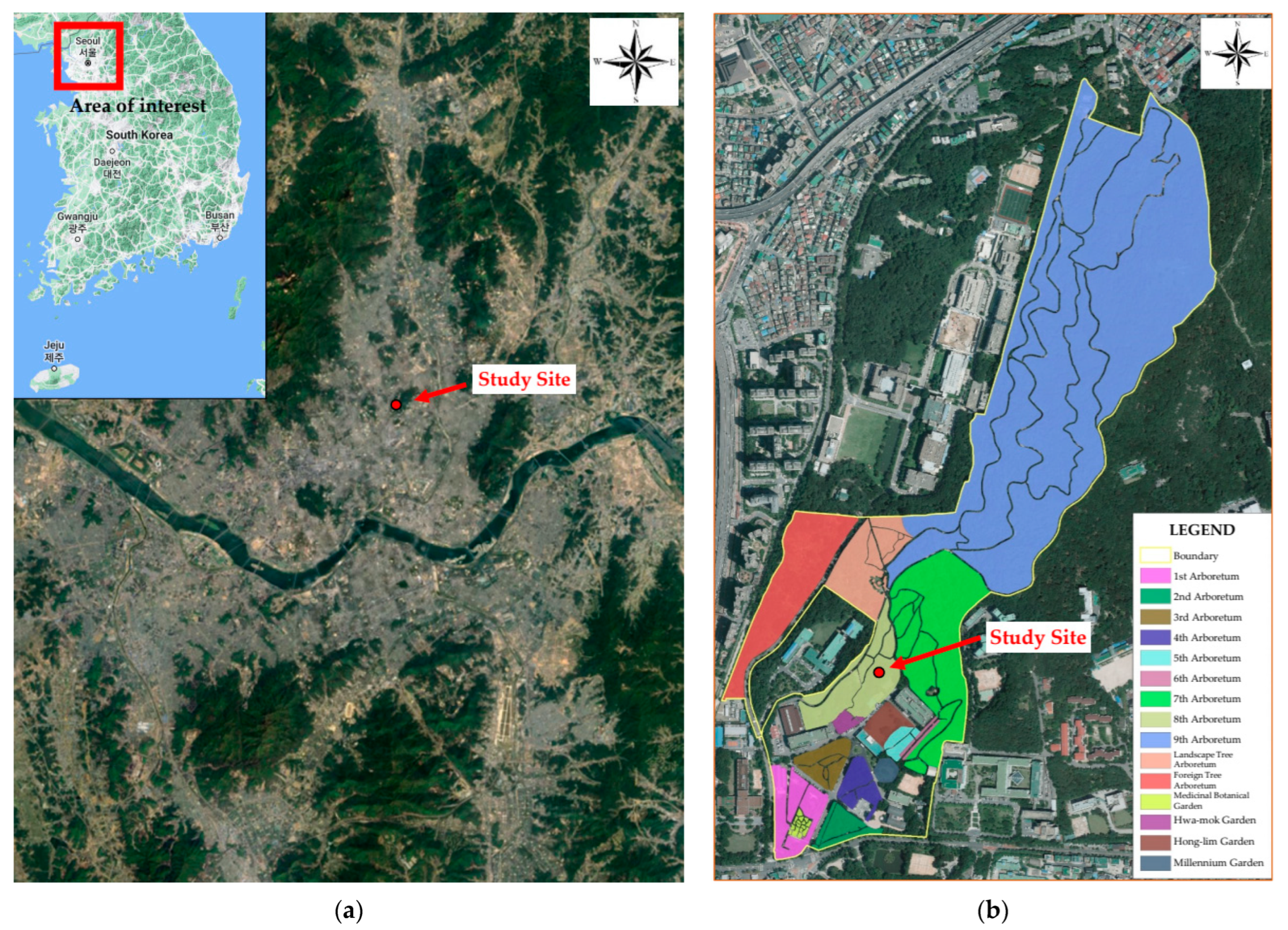 Forests 14 02184 g001
