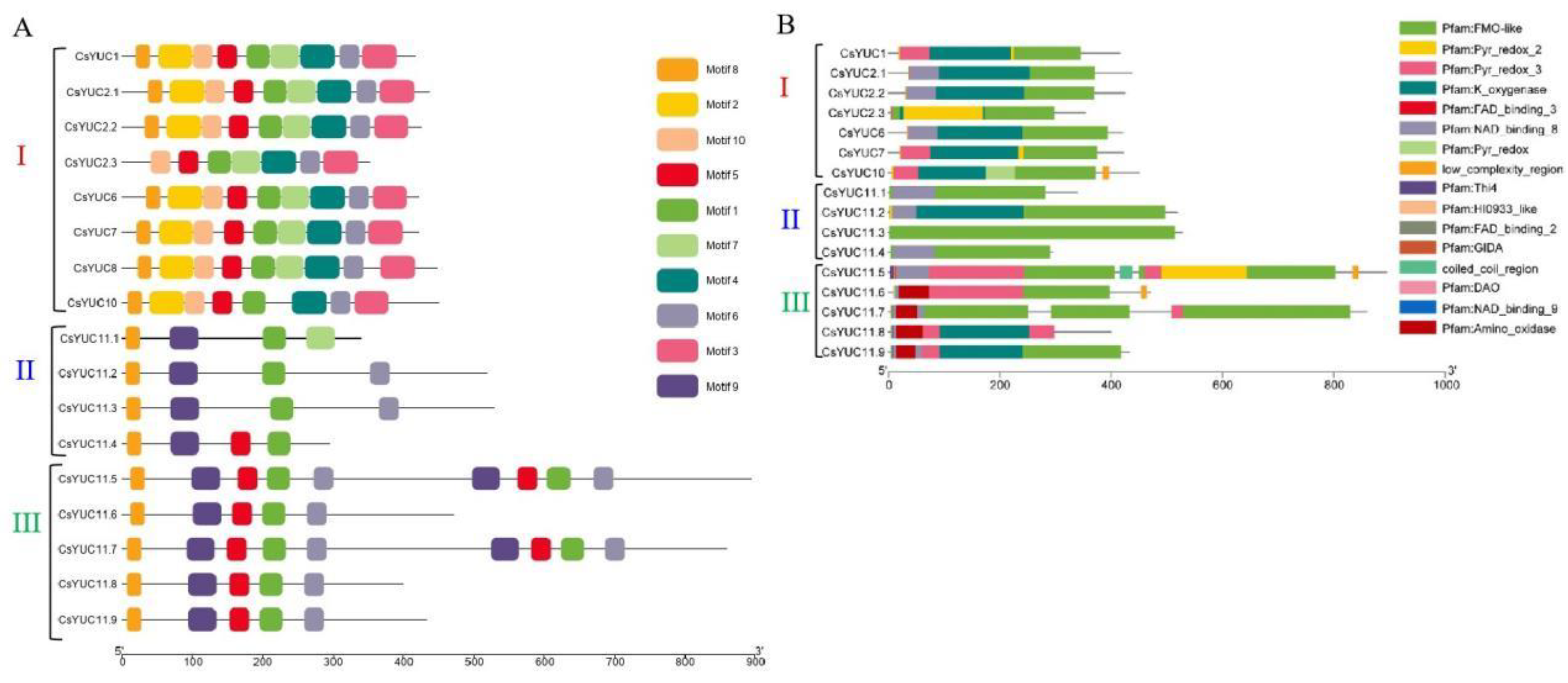 Forests 14 02185 g003 Forests 14 02185 g003