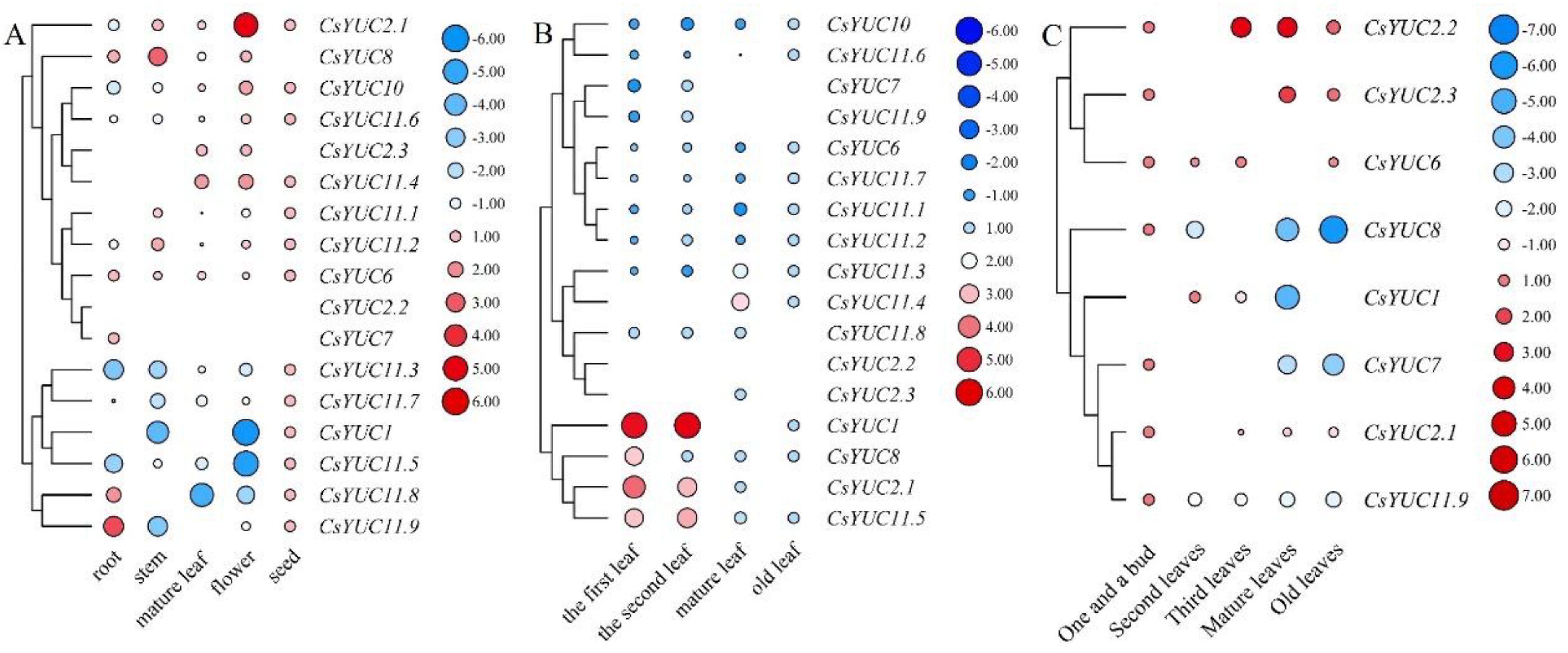 Forests 14 02185 g004 Forests 14 02185 g004