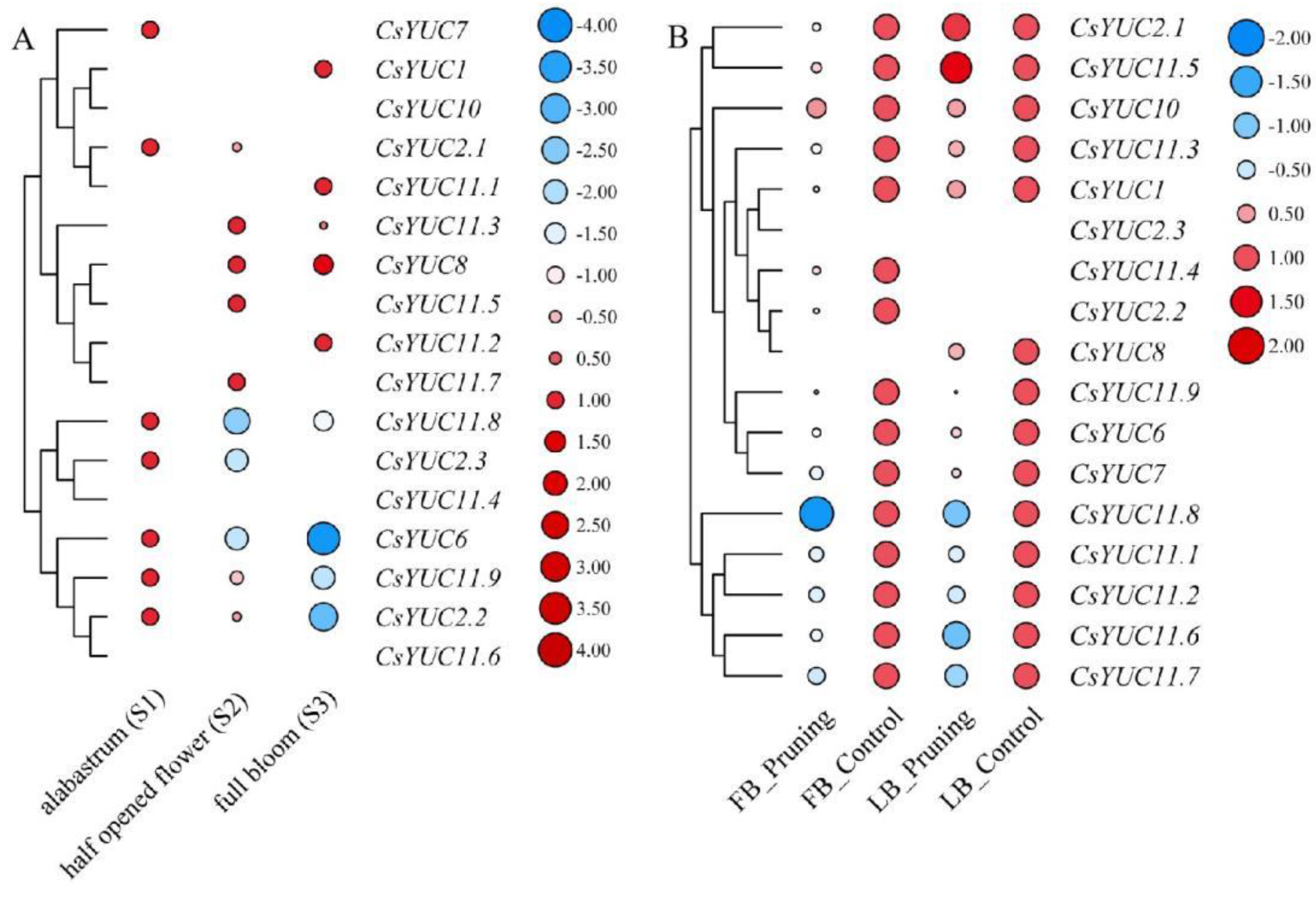 Forests 14 02185 g005 Forests 14 02185 g005