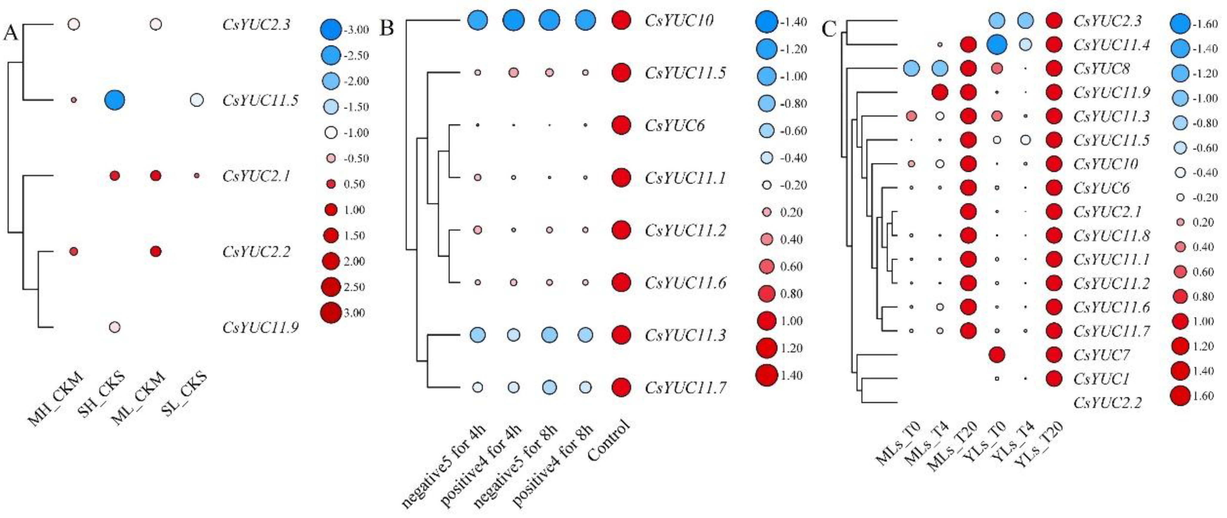 Forests 14 02185 g008 Forests 14 02185 g008