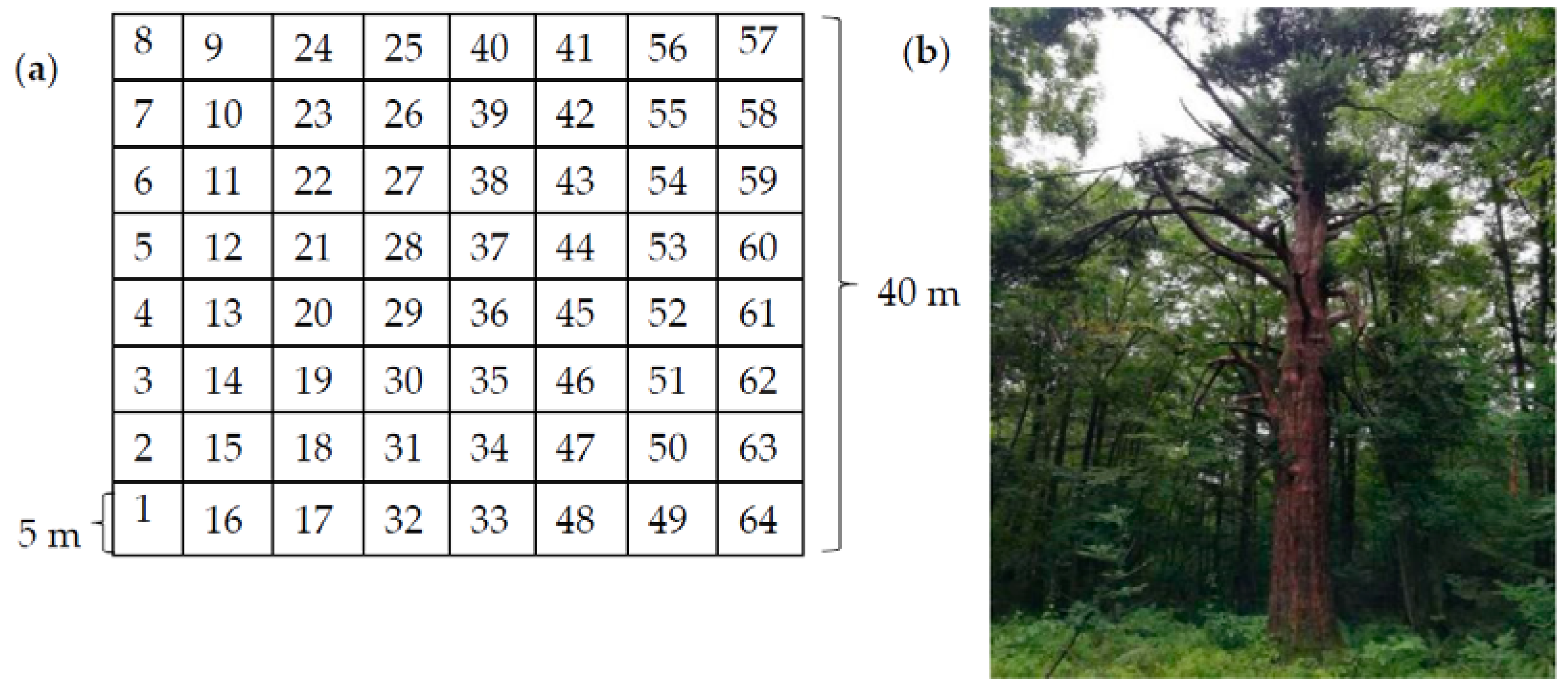 Forests 14 02194 g001