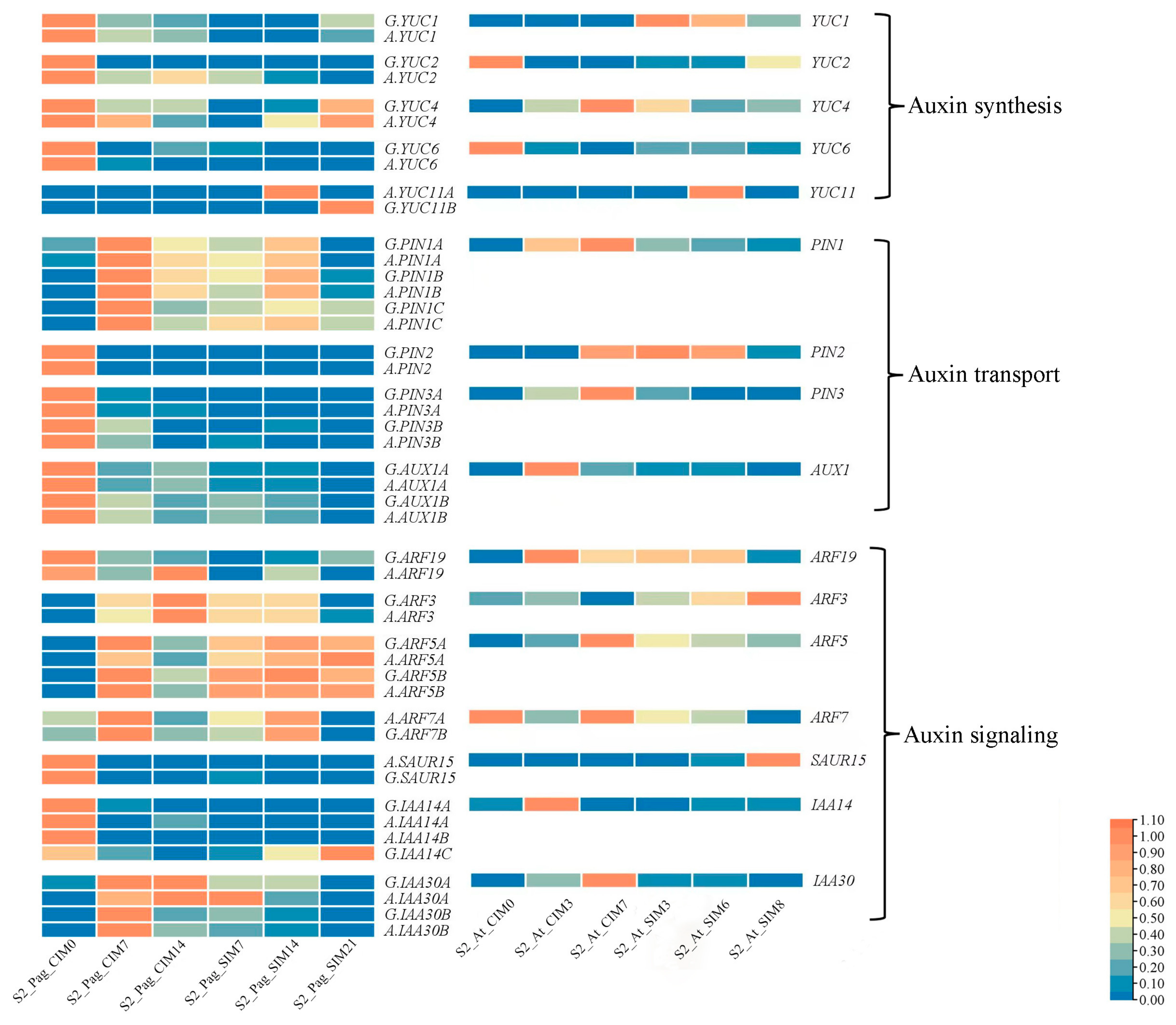 Forests 14 02195 g006
