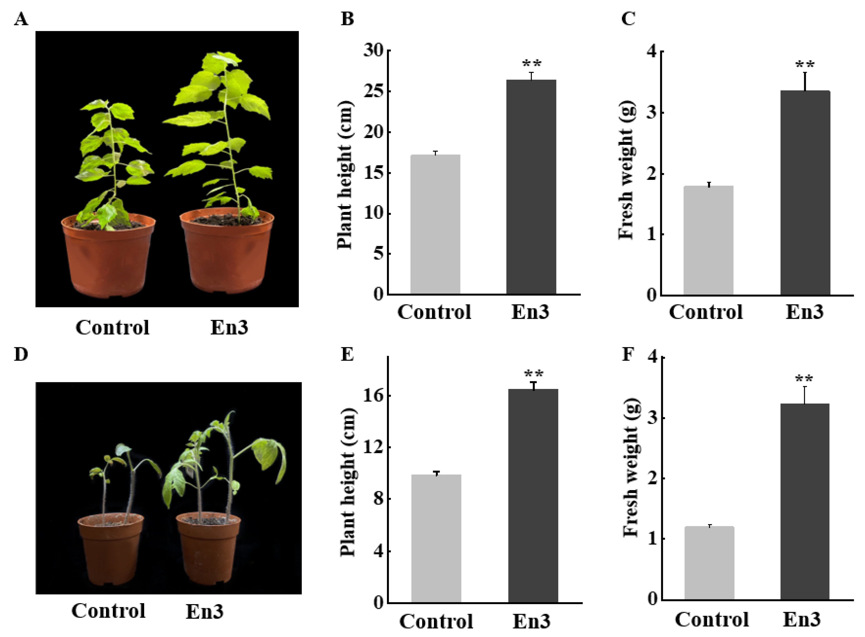 Forests 14 02203 g001