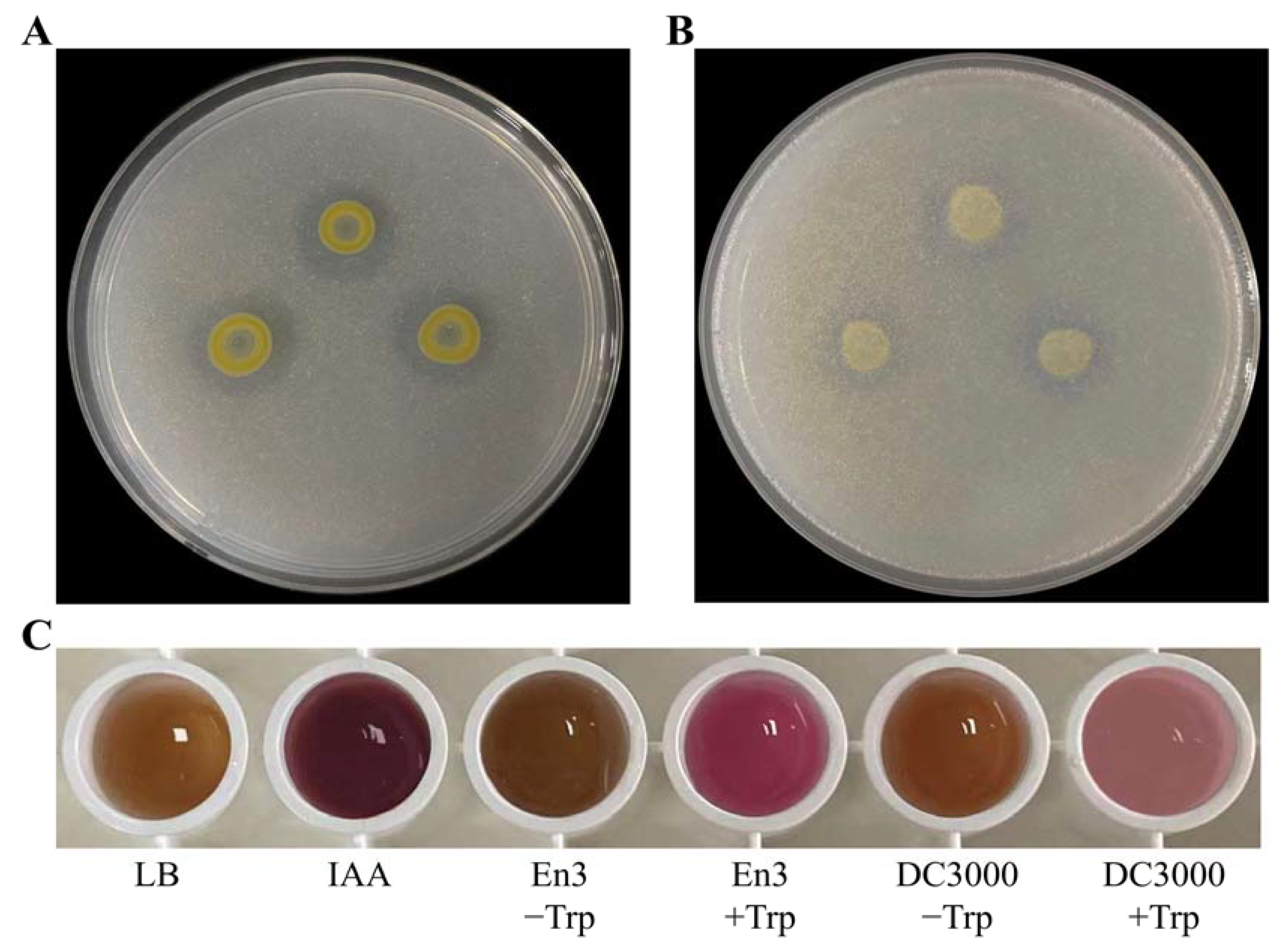 Forests 14 02203 g002