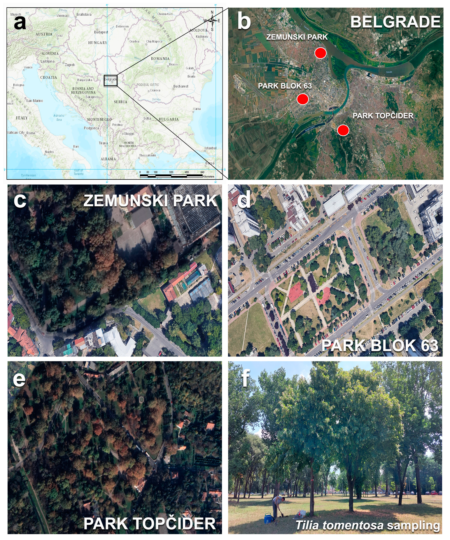 Forests 14 02204 g001