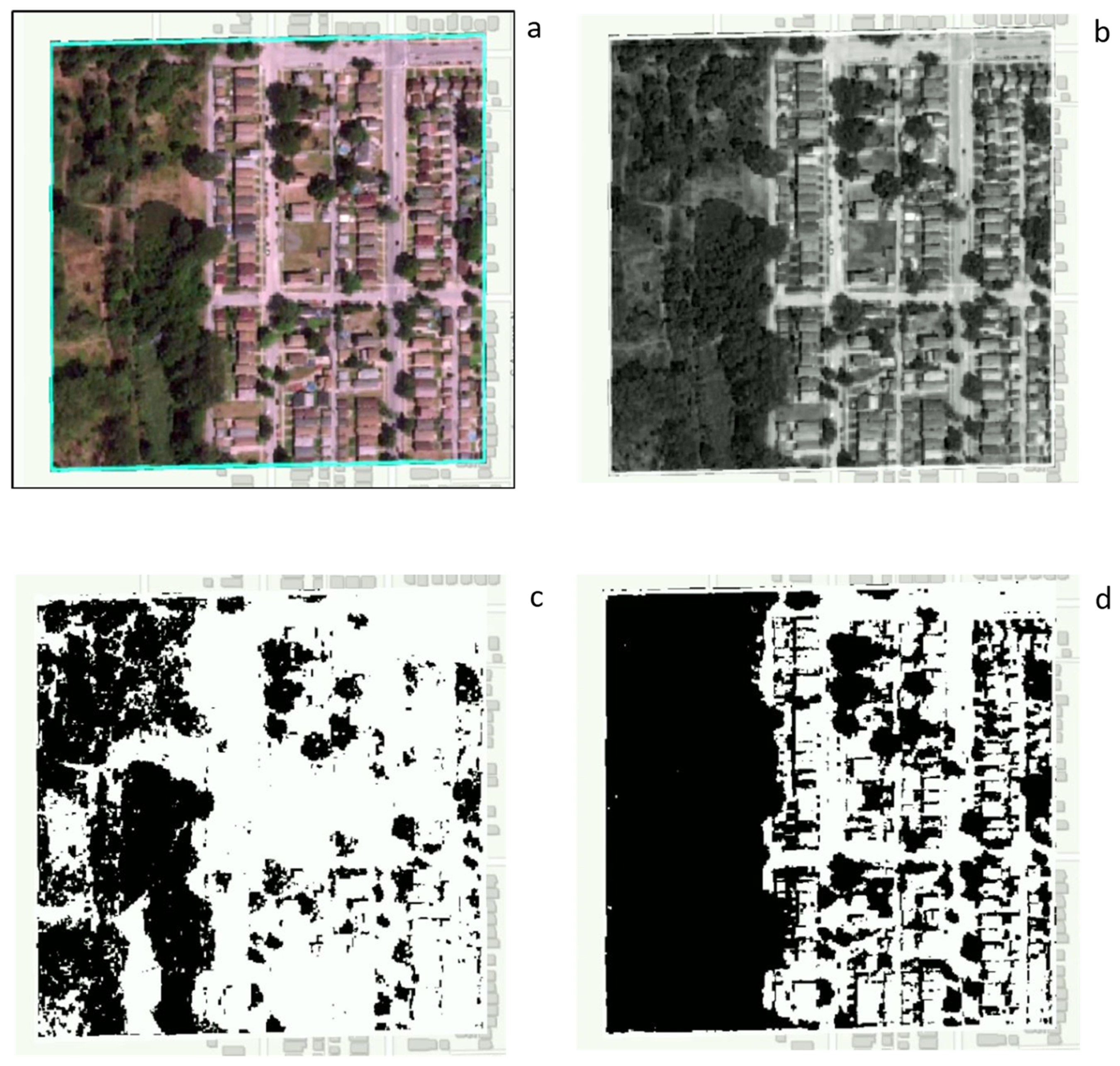 Forests 14 02207 g0a1 Forests 14 02207 g0a1