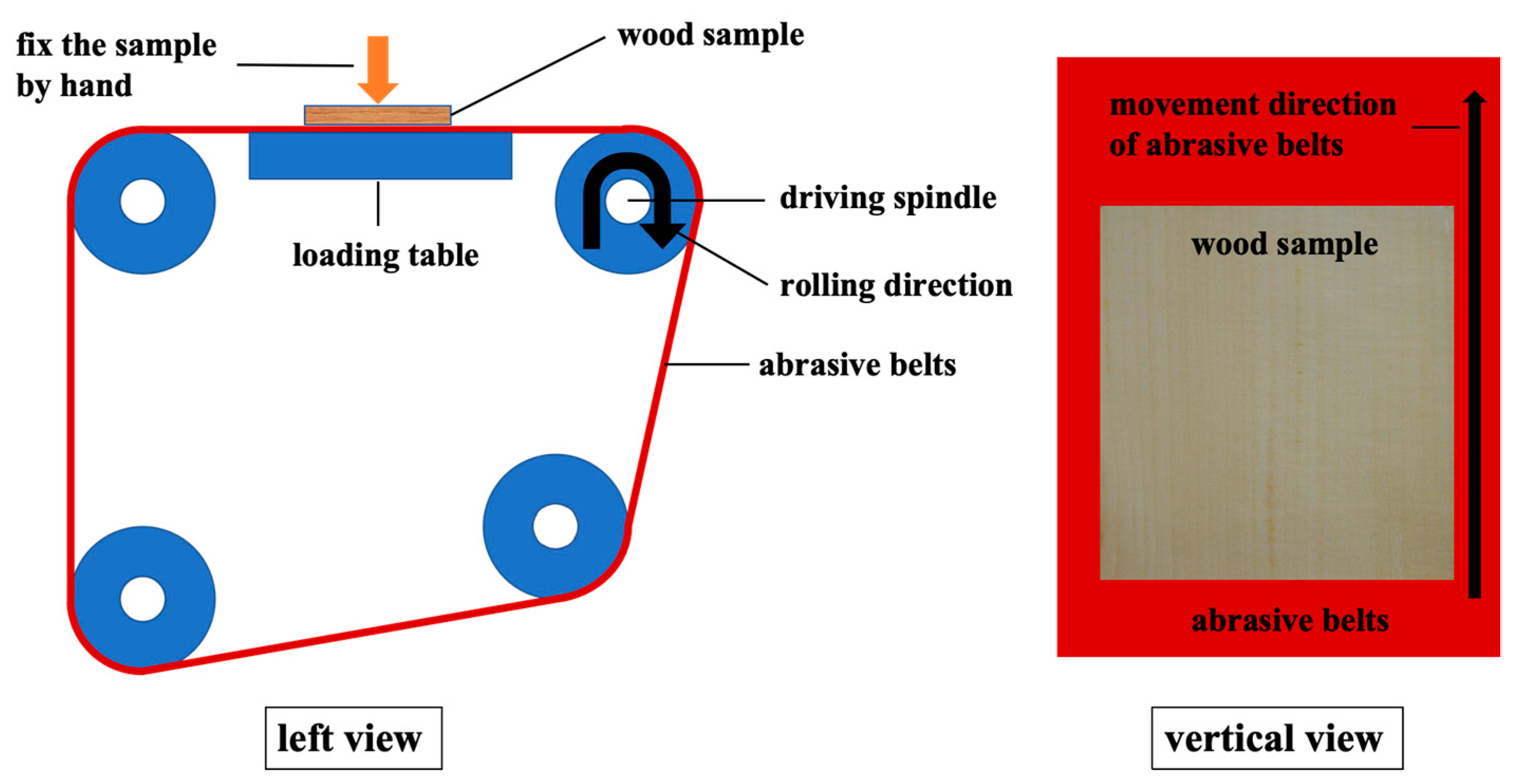 Forests 14 02213 g001