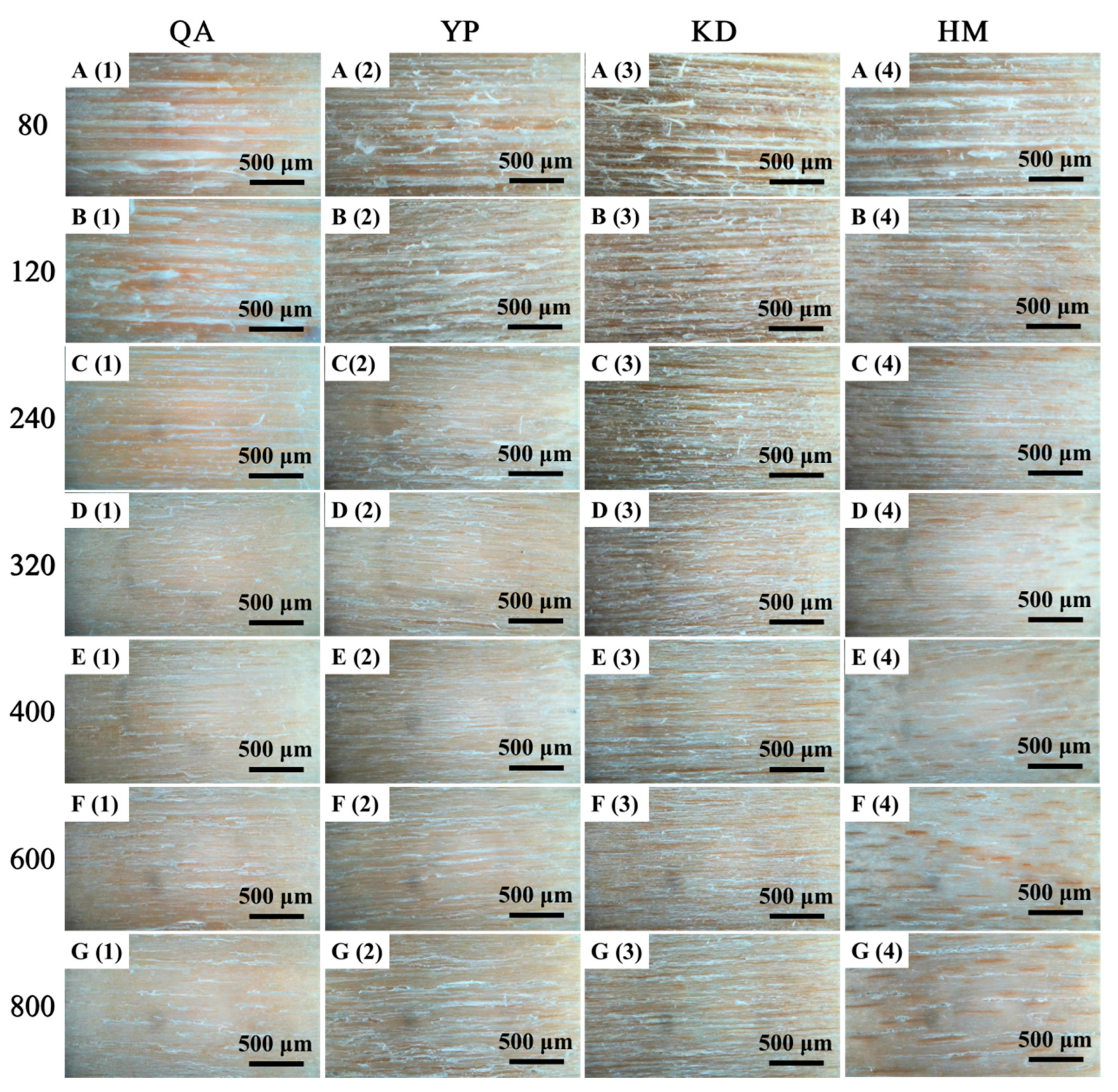 Forests 14 02213 g003