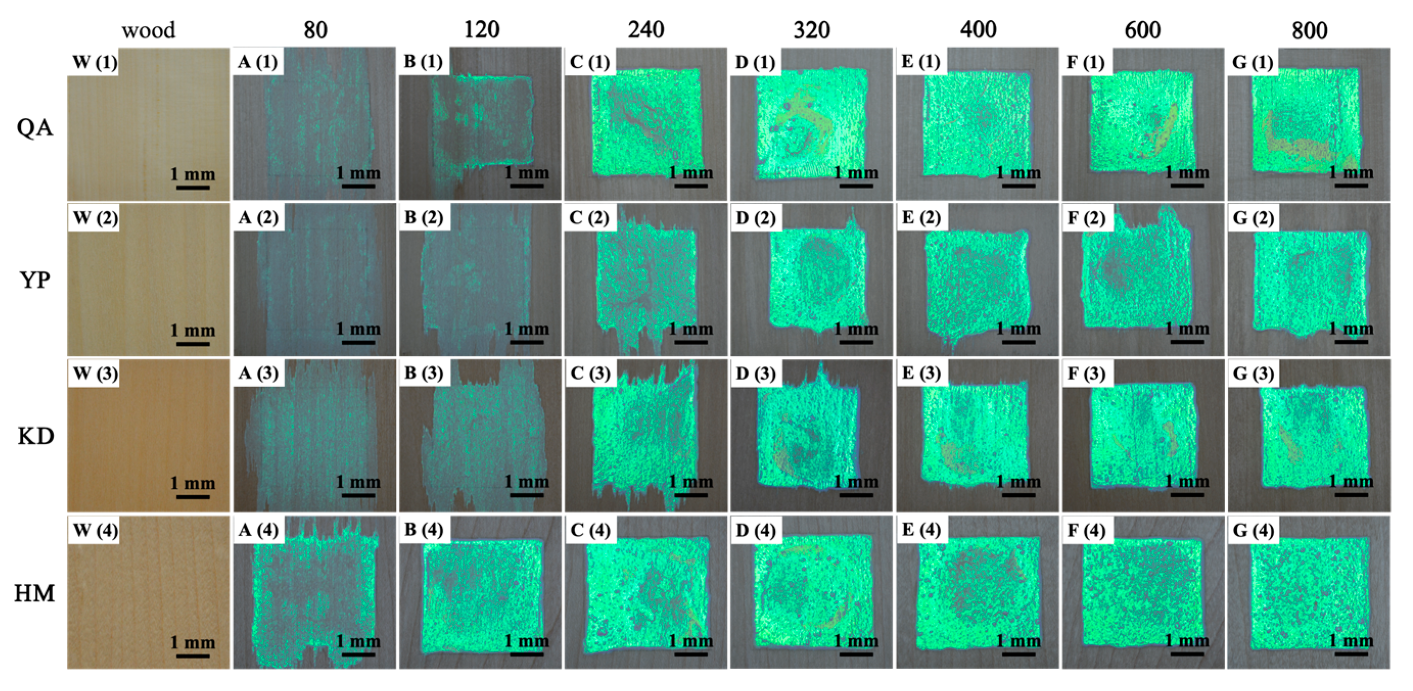 Forests 14 02213 g004