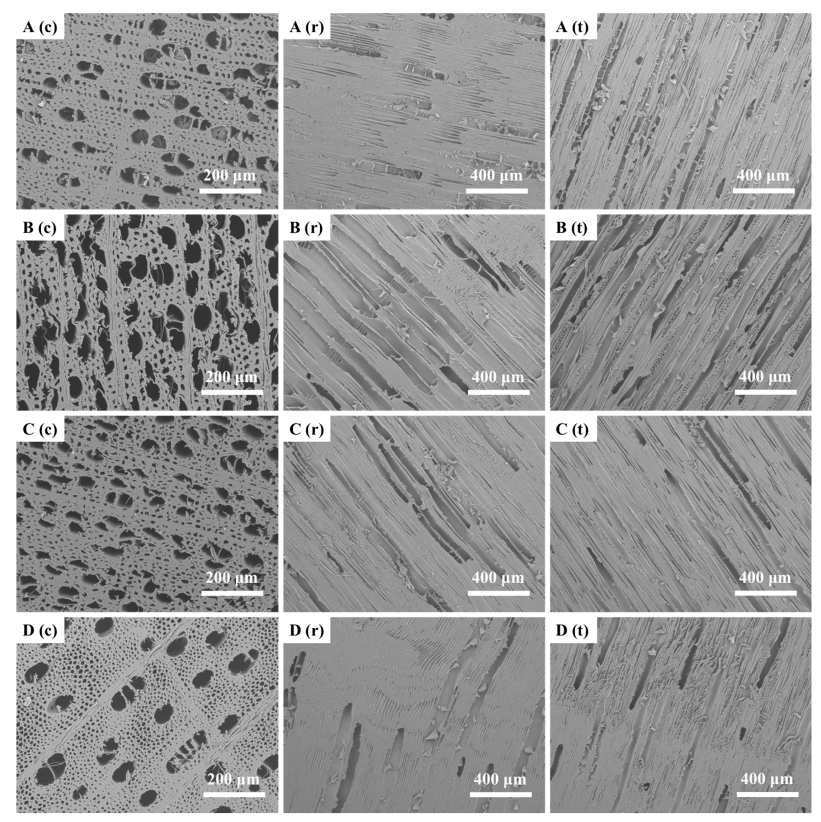 Forests 14 02213 g006