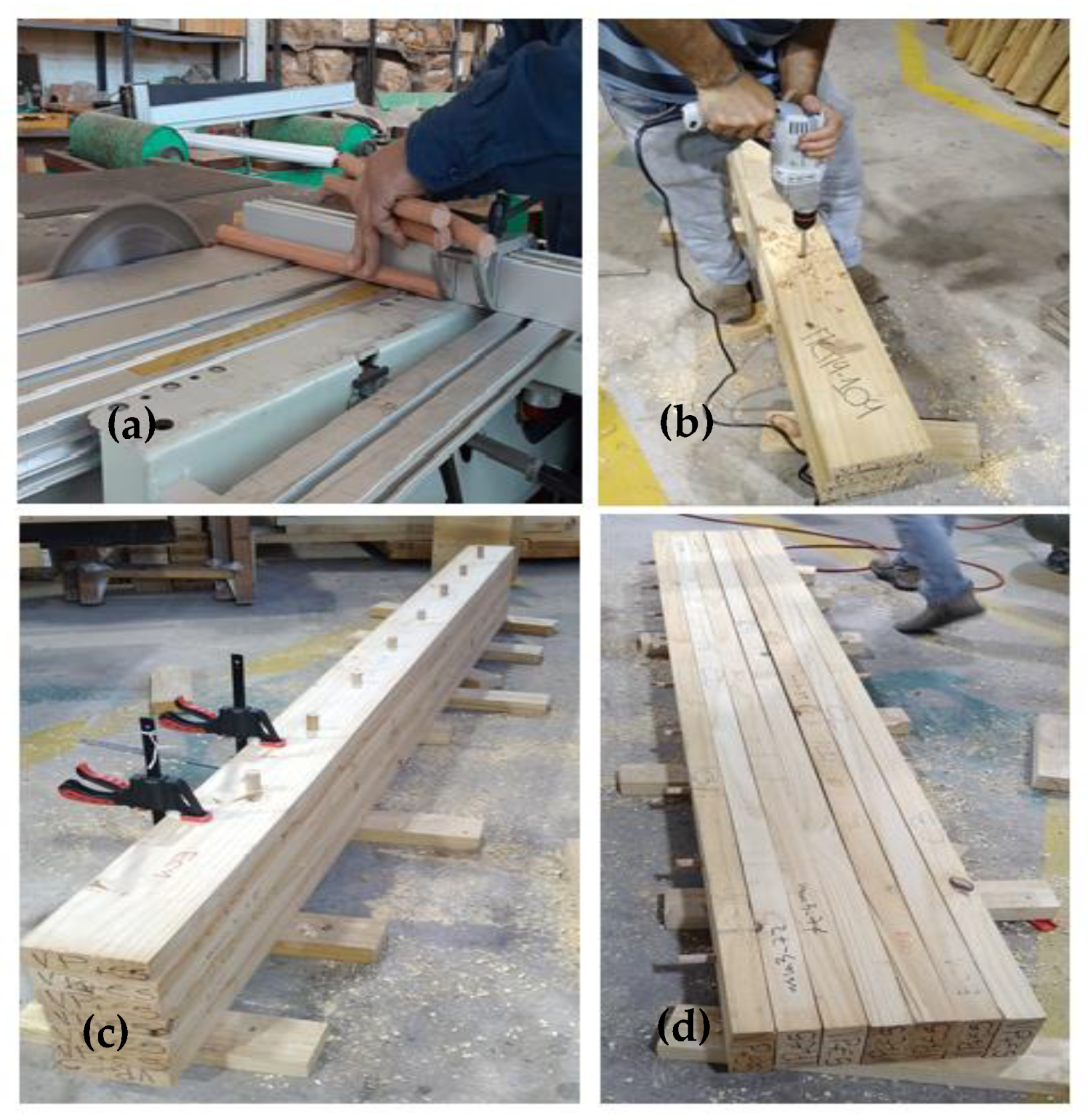 Forests 14 02215 g003