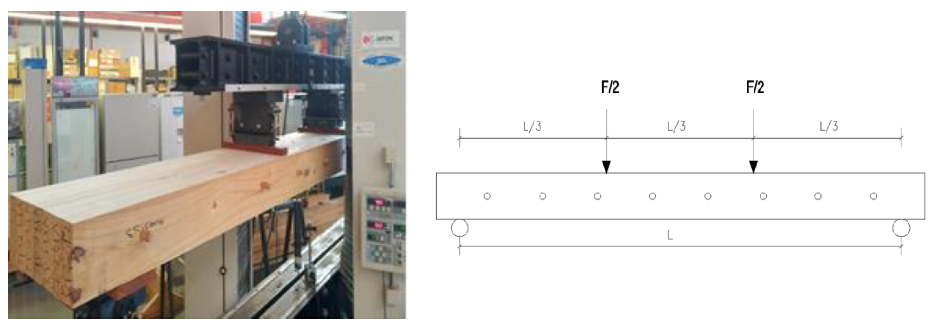 Forests 14 02215 g005