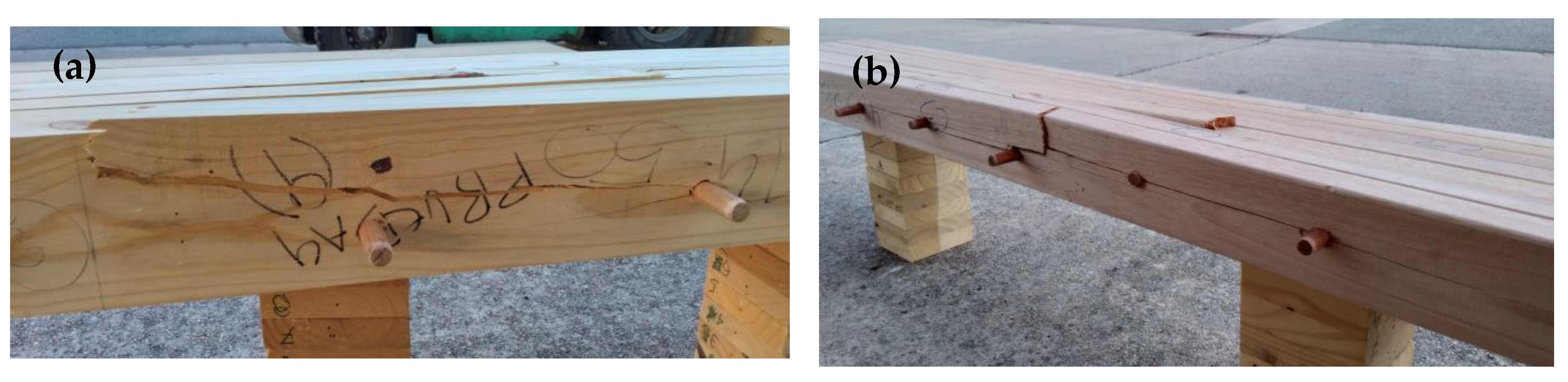 Forests 14 02215 g010