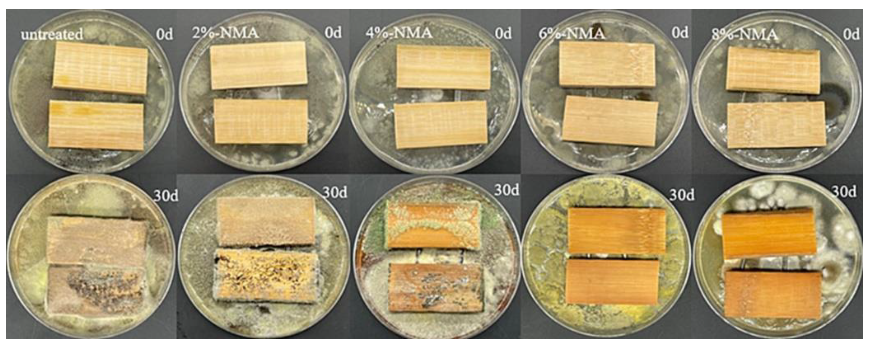 Modification and Application of Bamboo-Based Materials: A Modification and Application of Bamboo-Based Materials: A