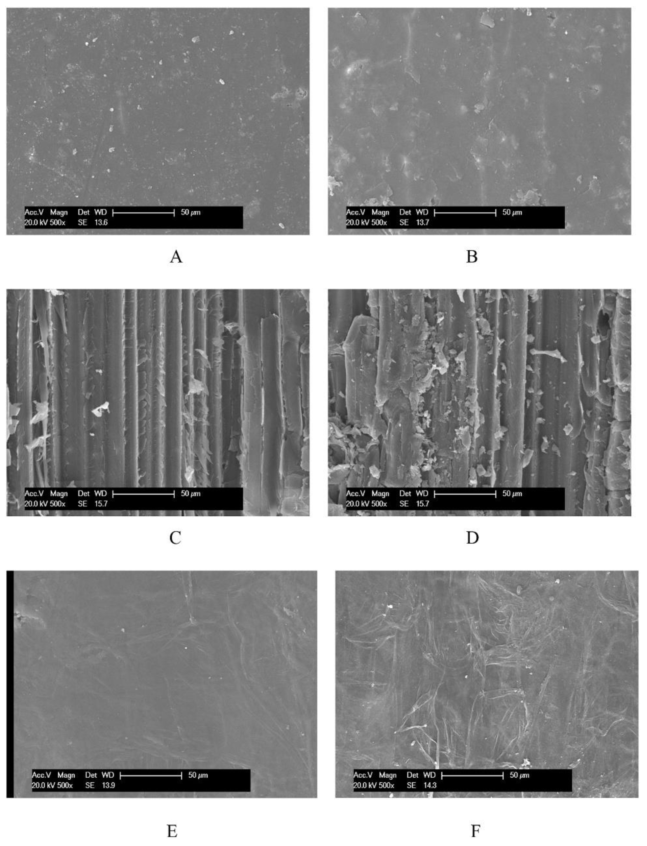 Forests 14 02219 g005
