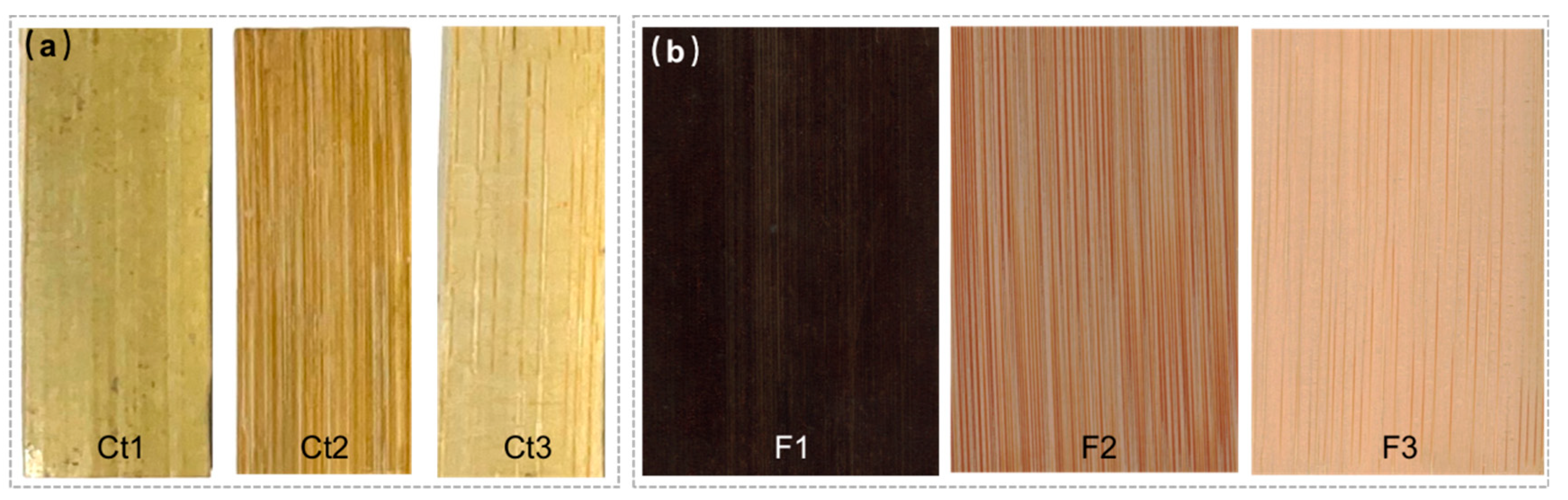 Forests 14 02220 g001