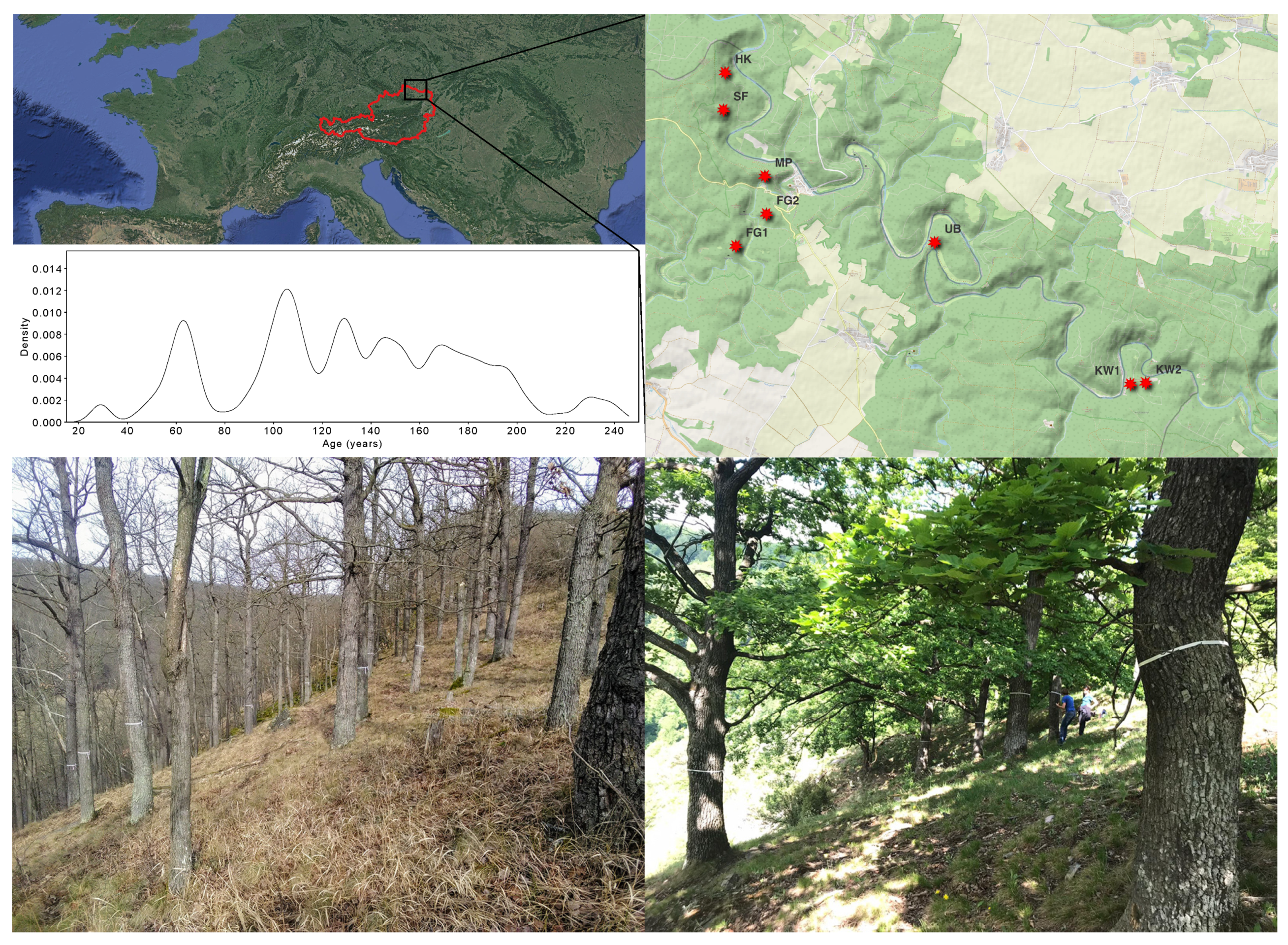 Forests 14 02225 g001