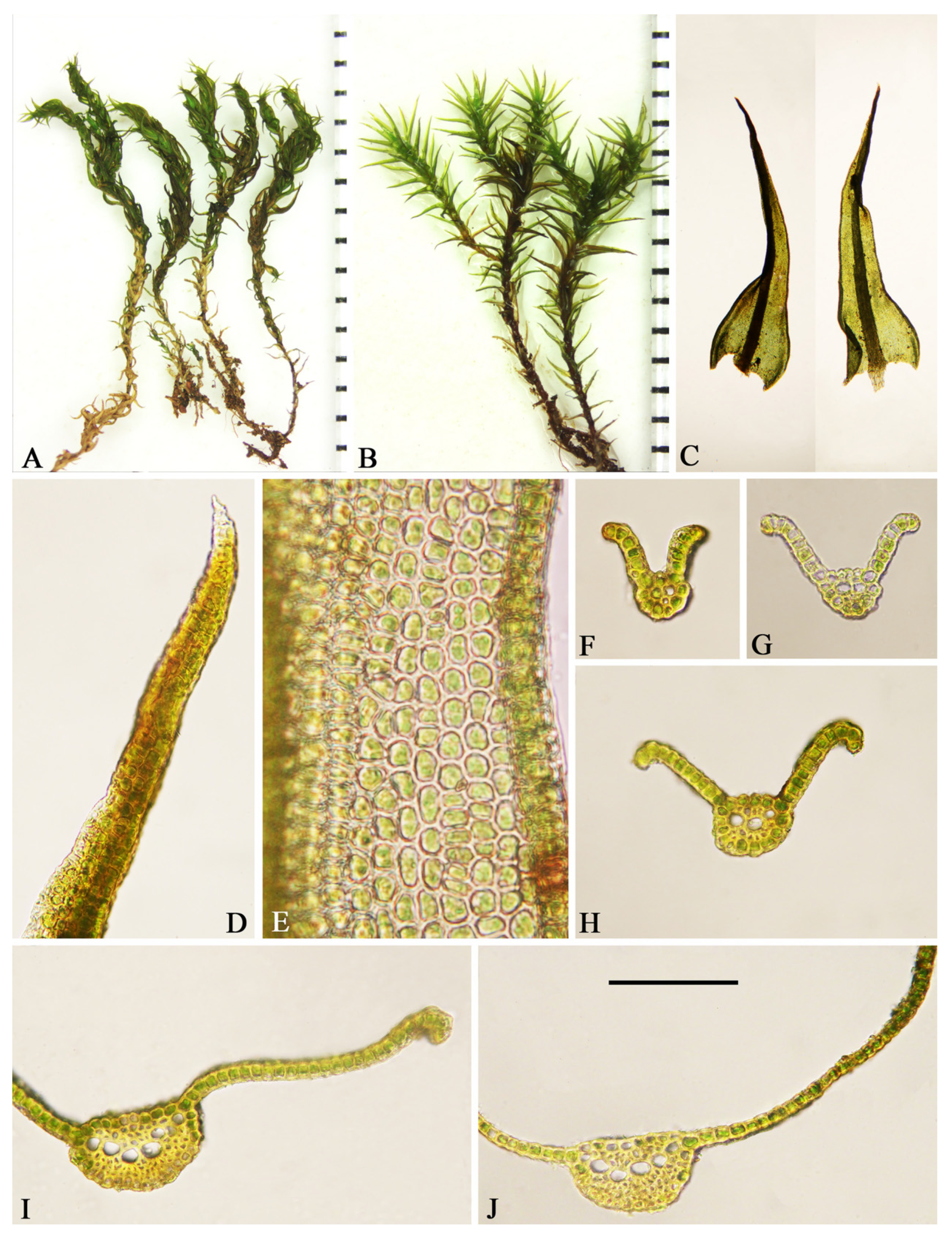 Forests 14 02227 g002