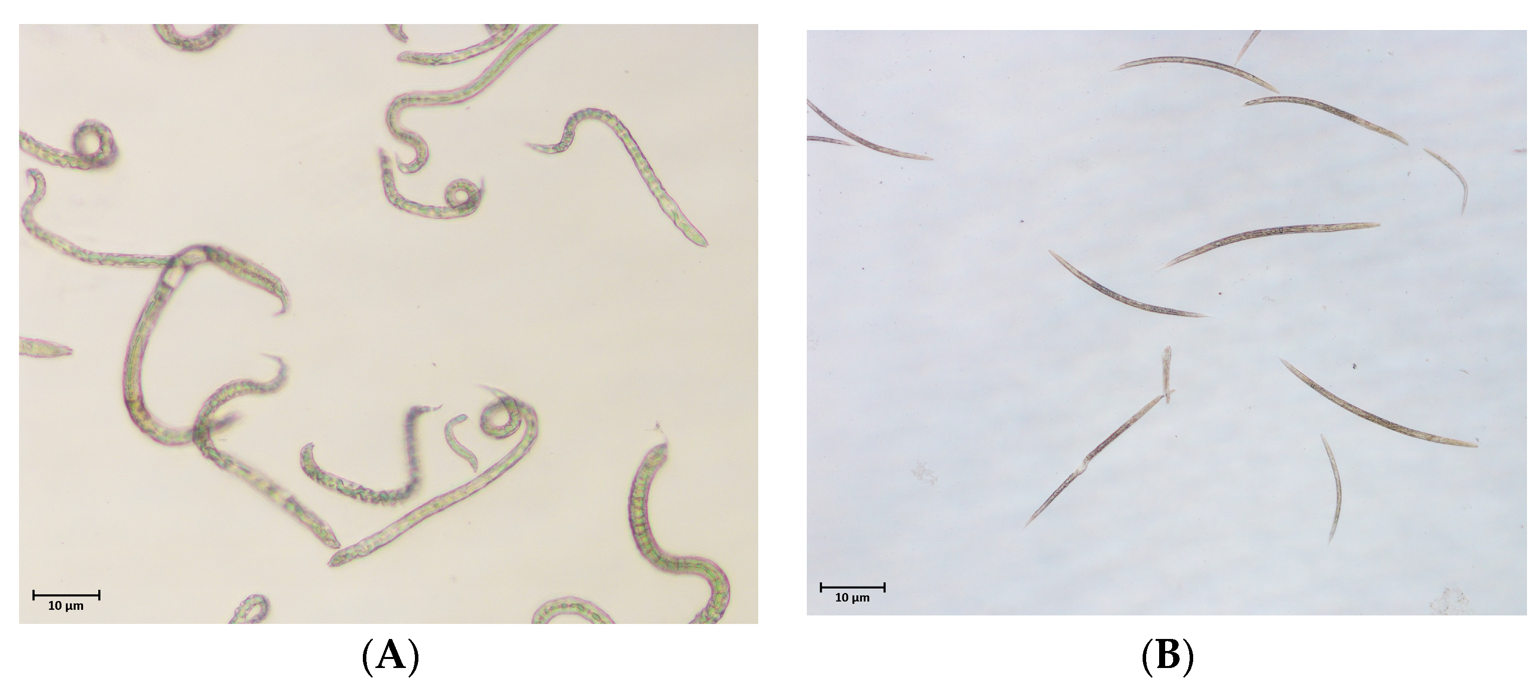 Forests 14 02230 g003