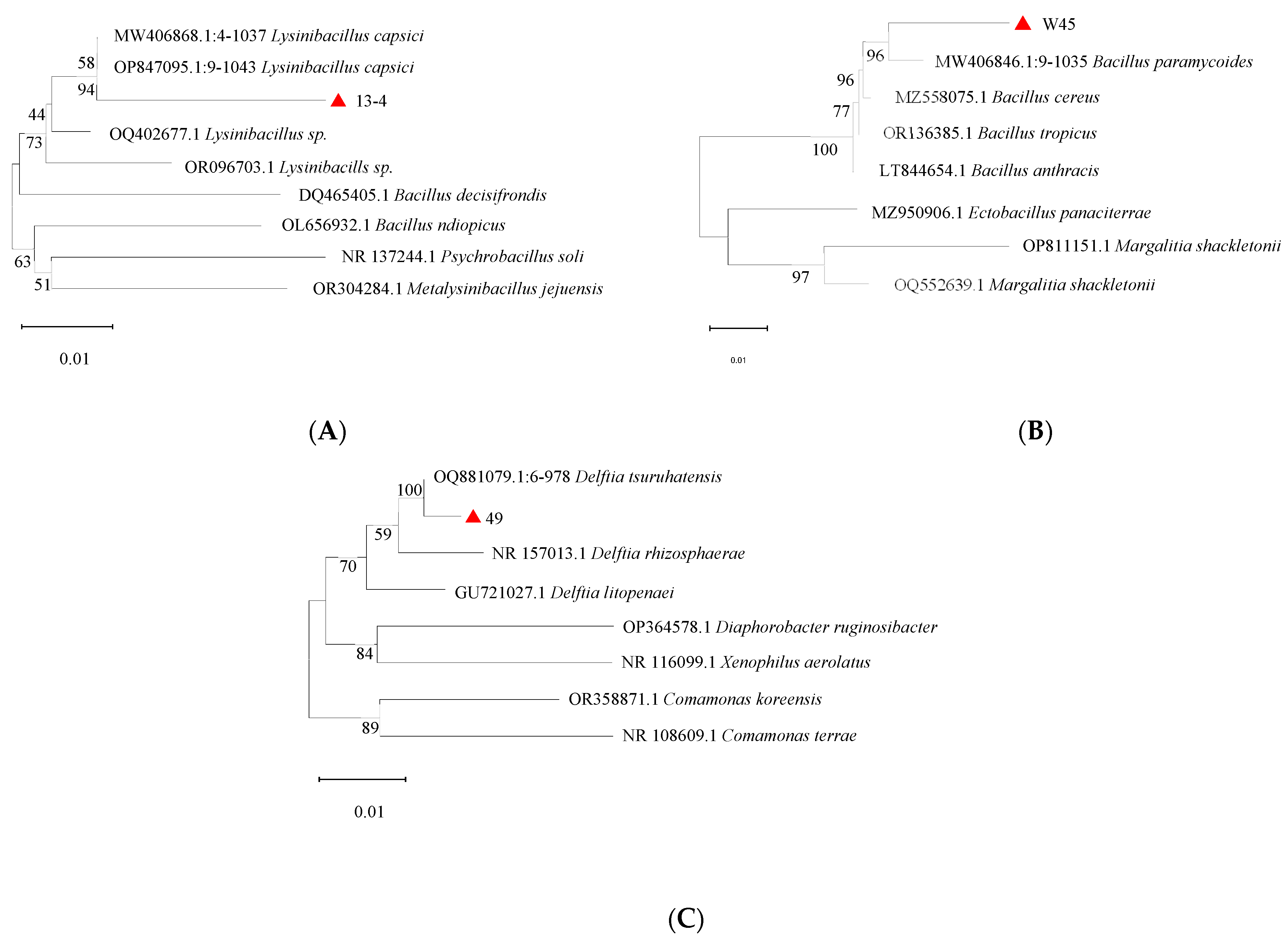 Forests 14 02230 g004