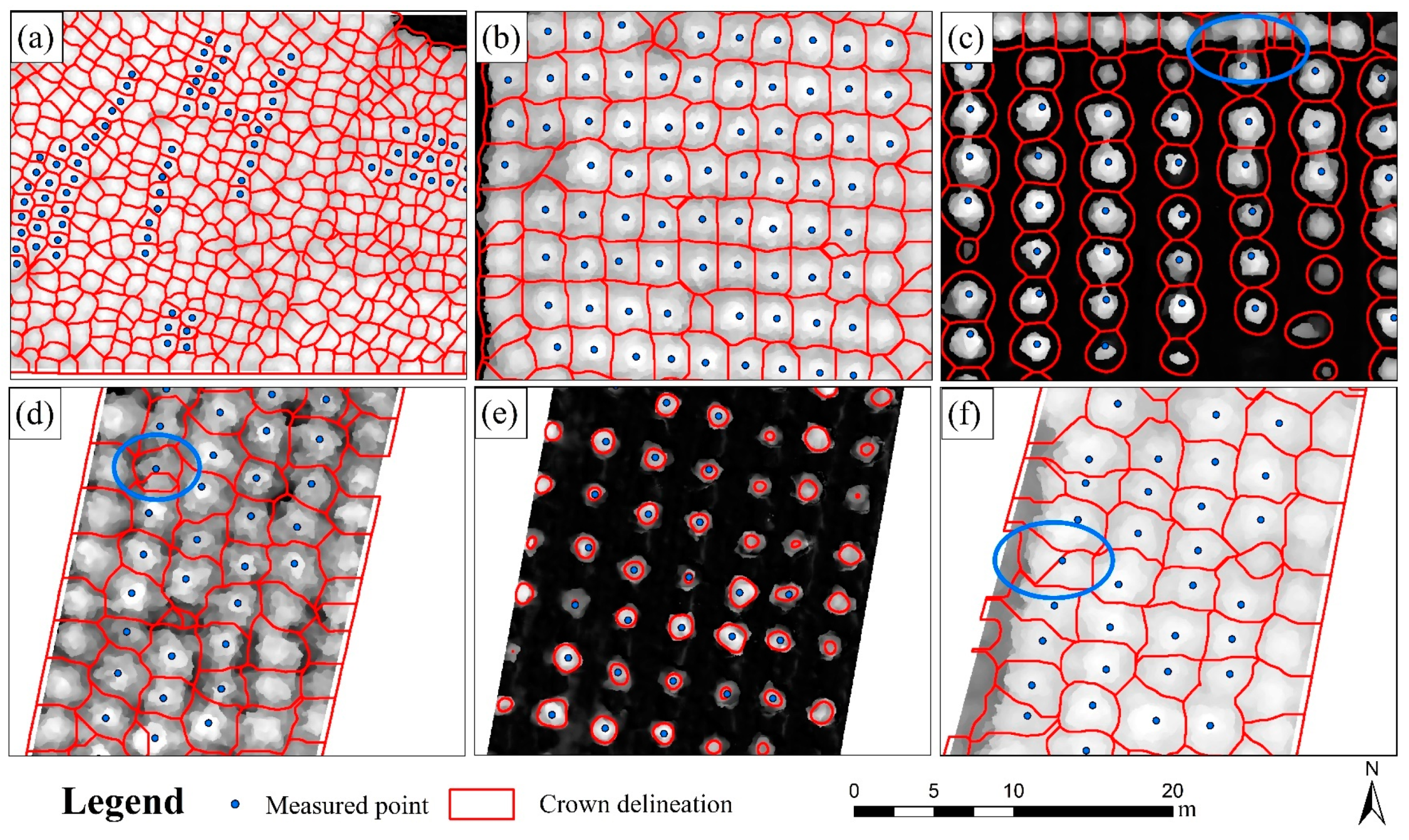 Forests 14 02231 g005