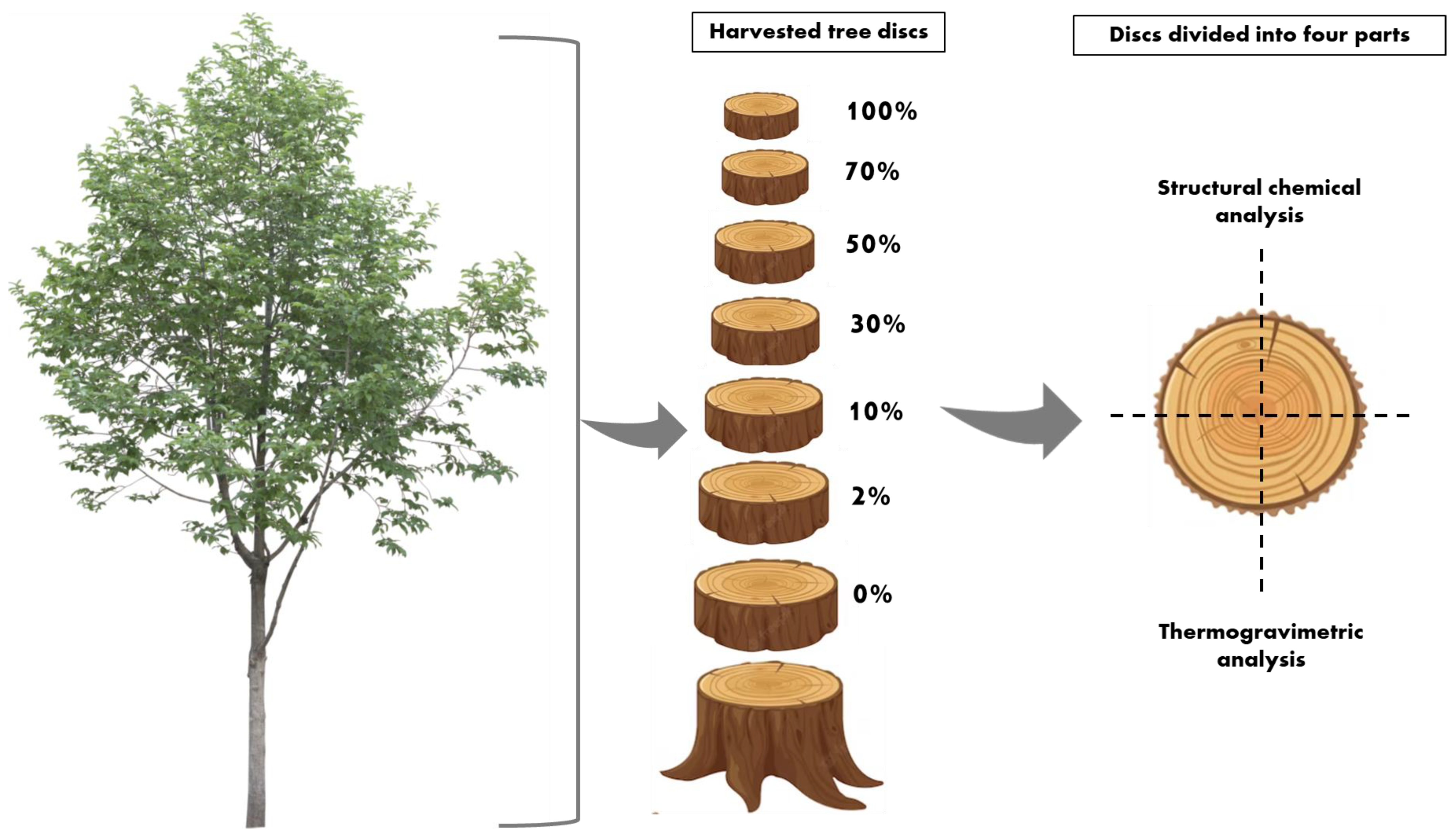 Forests 14 02240 g001