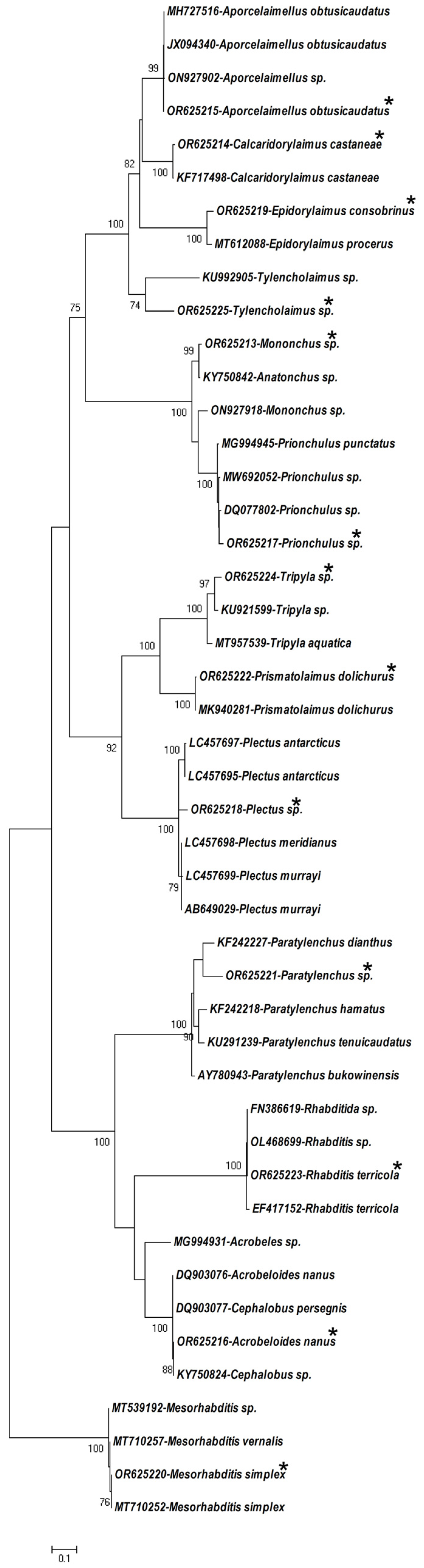 Forests 14 02241 g002 Forests 14 02241 g002