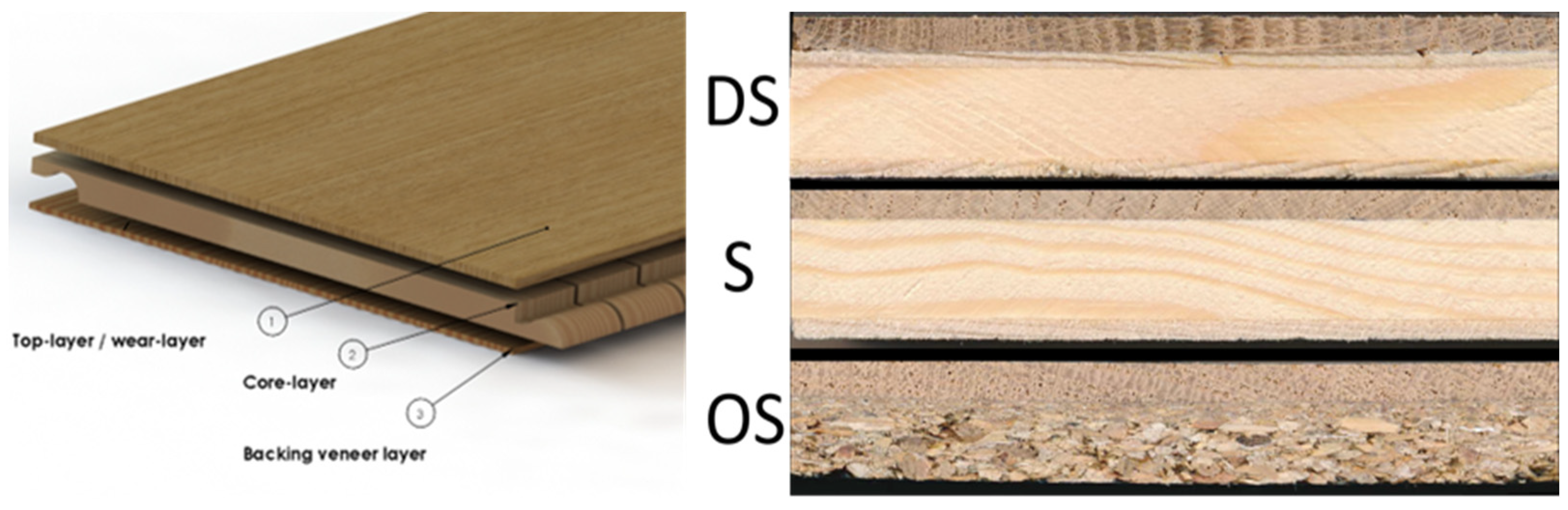 Forests 14 02250 g001