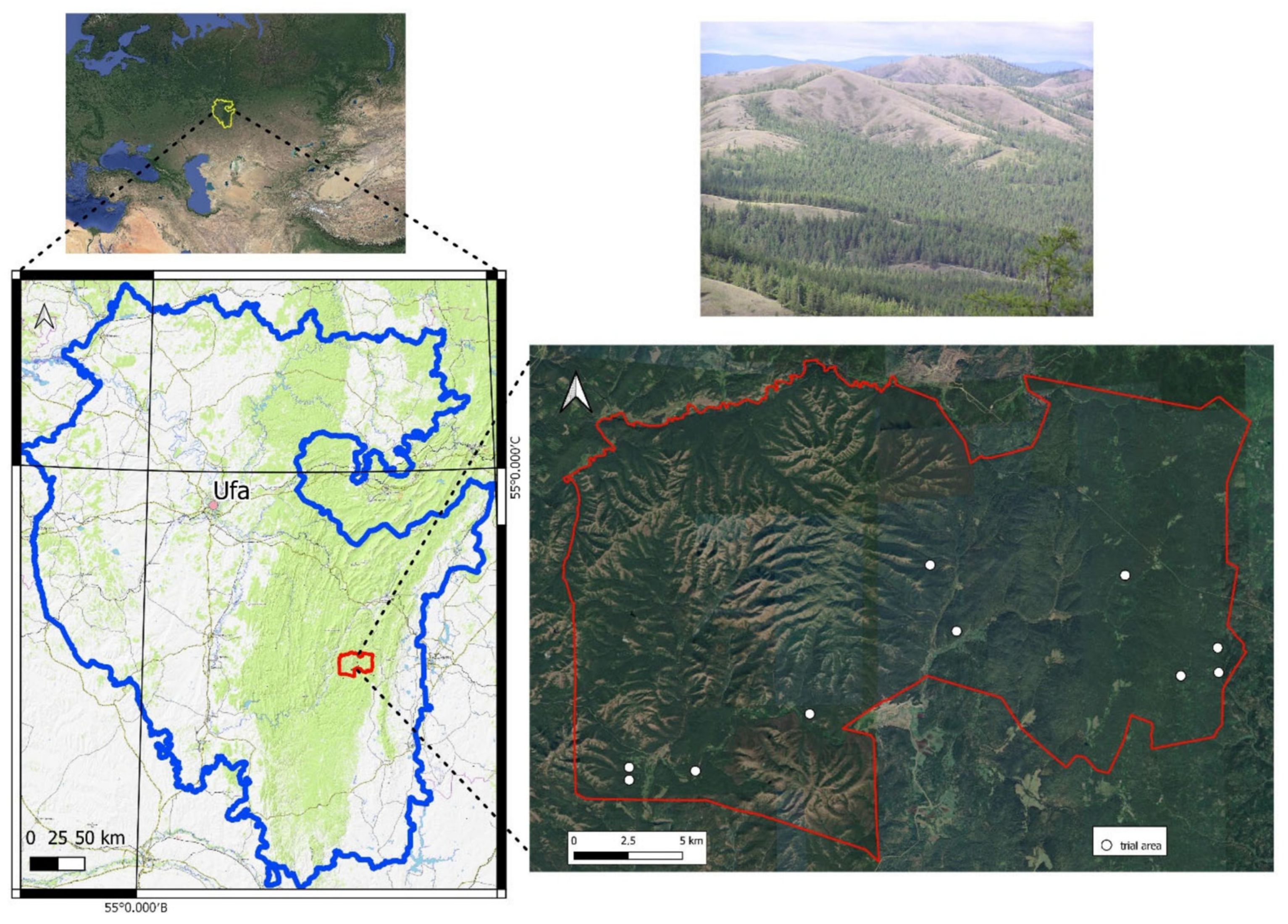 Forests 14 02251 g001