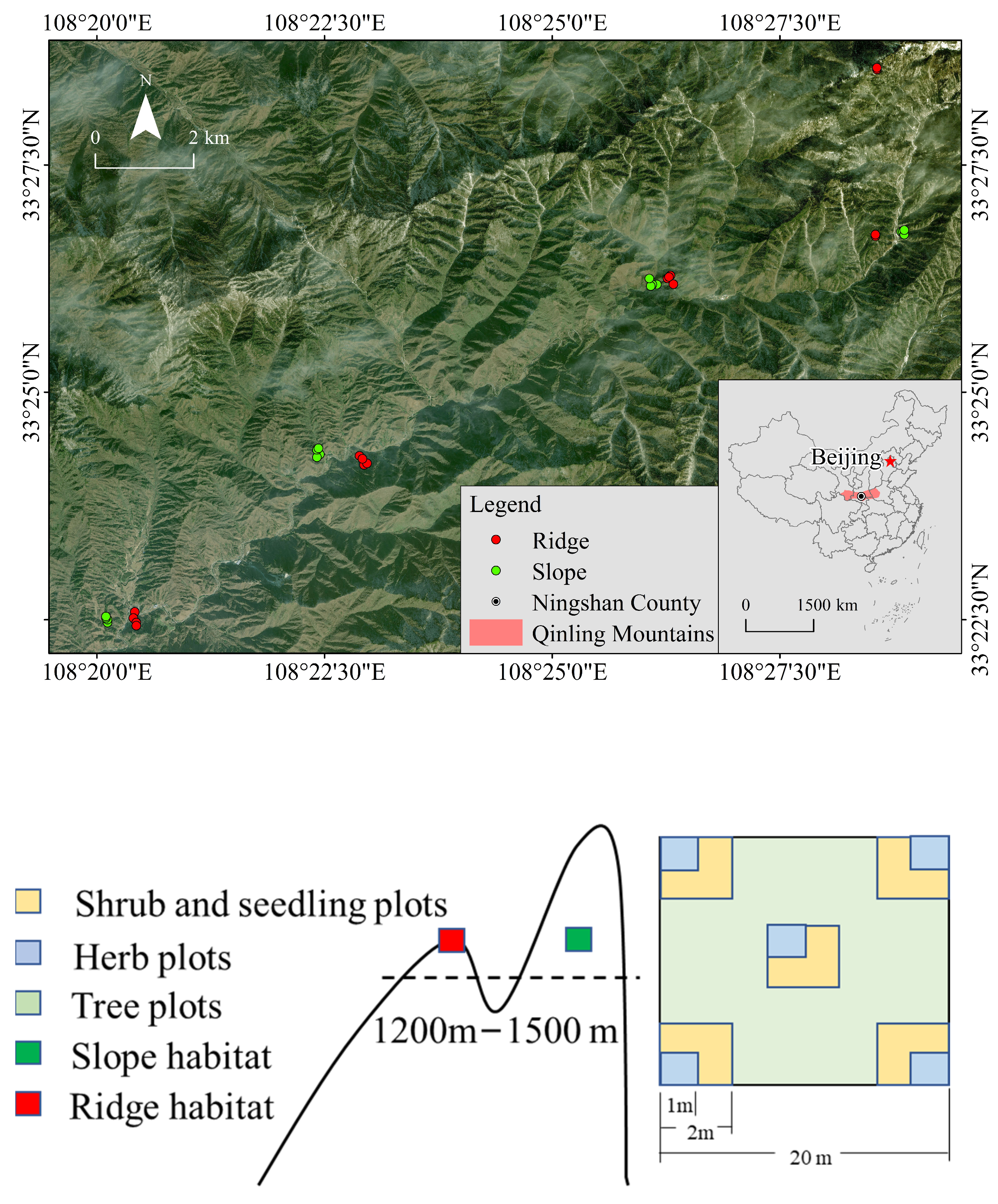 Forests 14 02252 g001 Forests 14 02252 g001