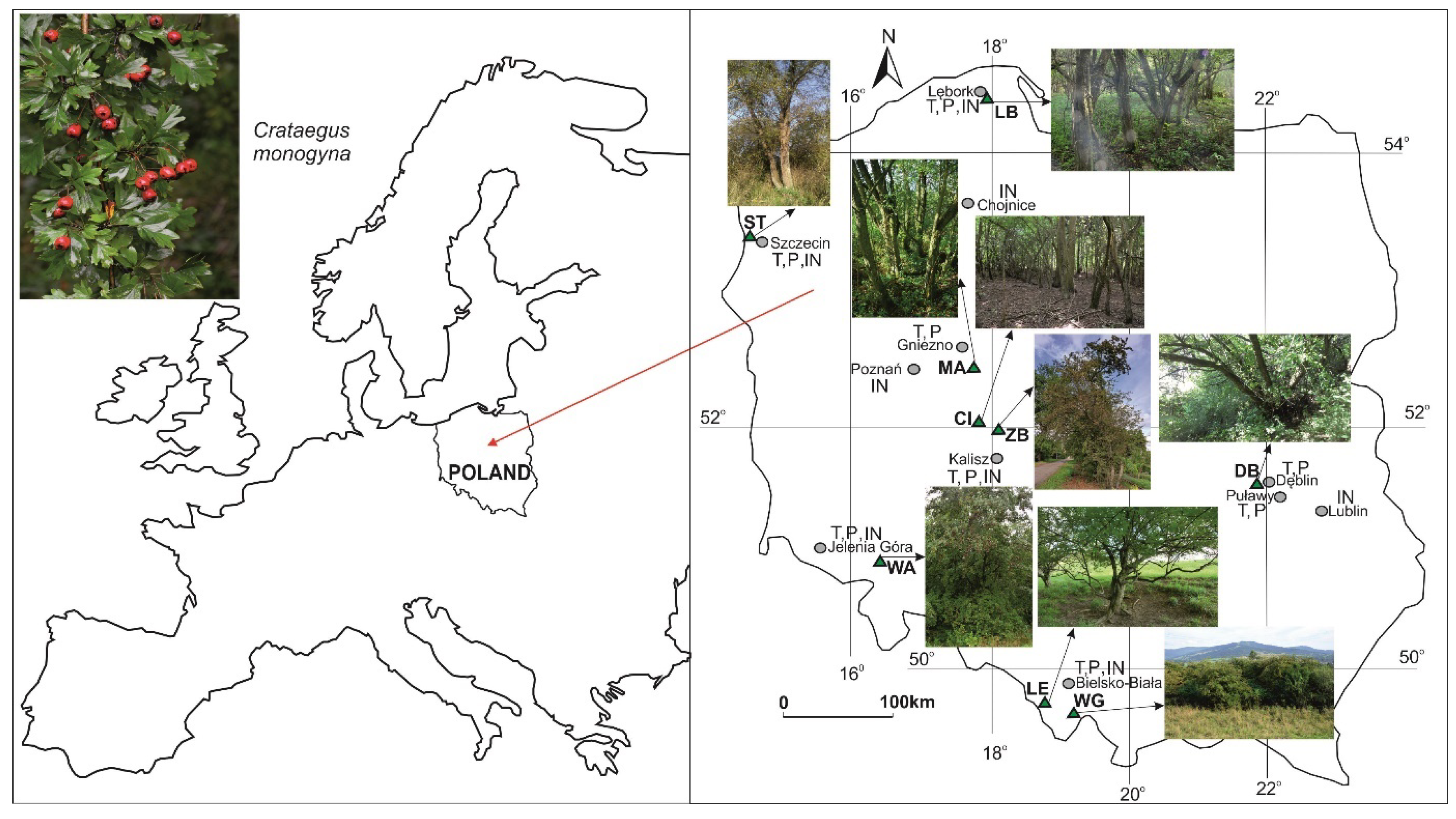 Forests 14 02264 g001