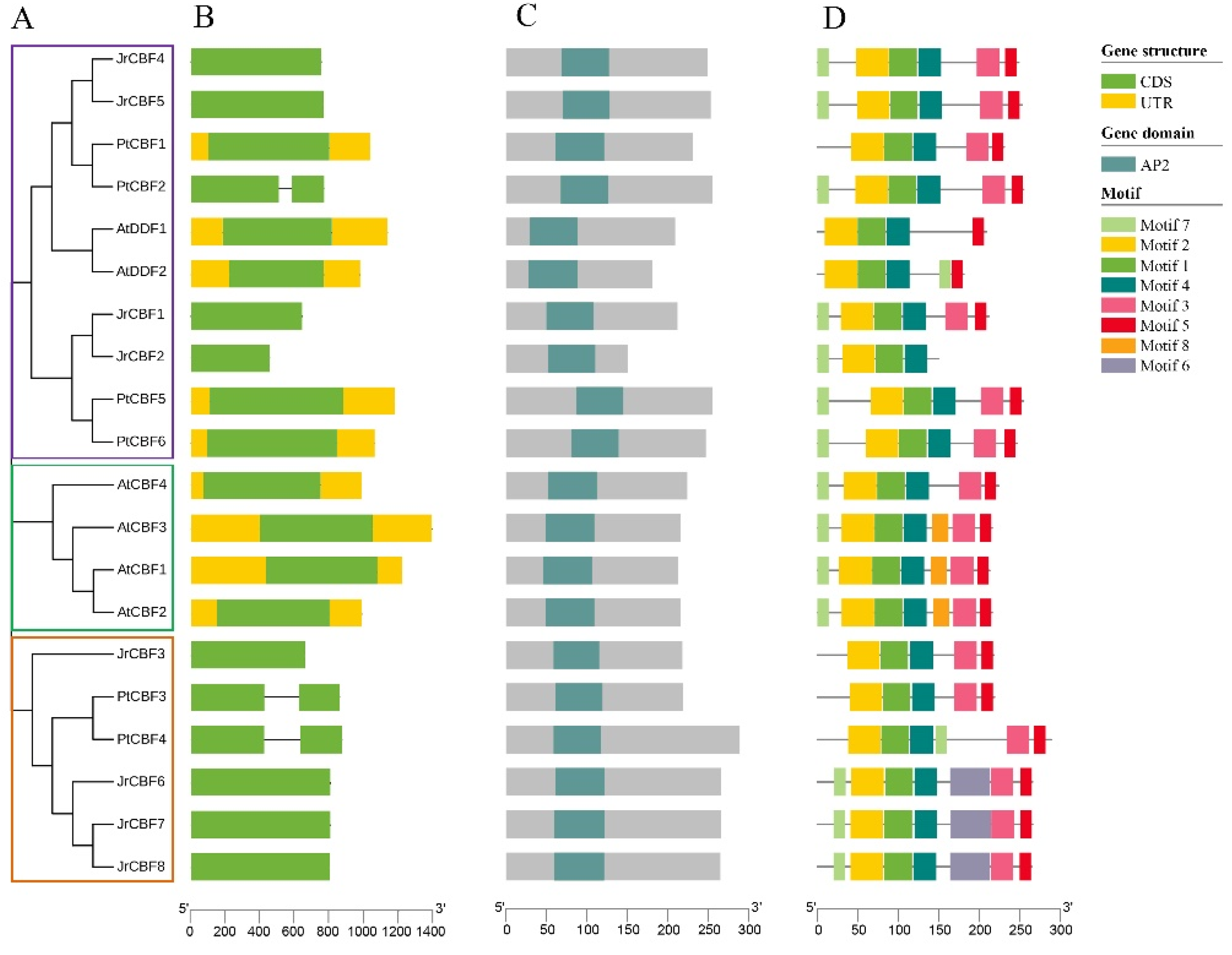 Forests 14 02274 g002