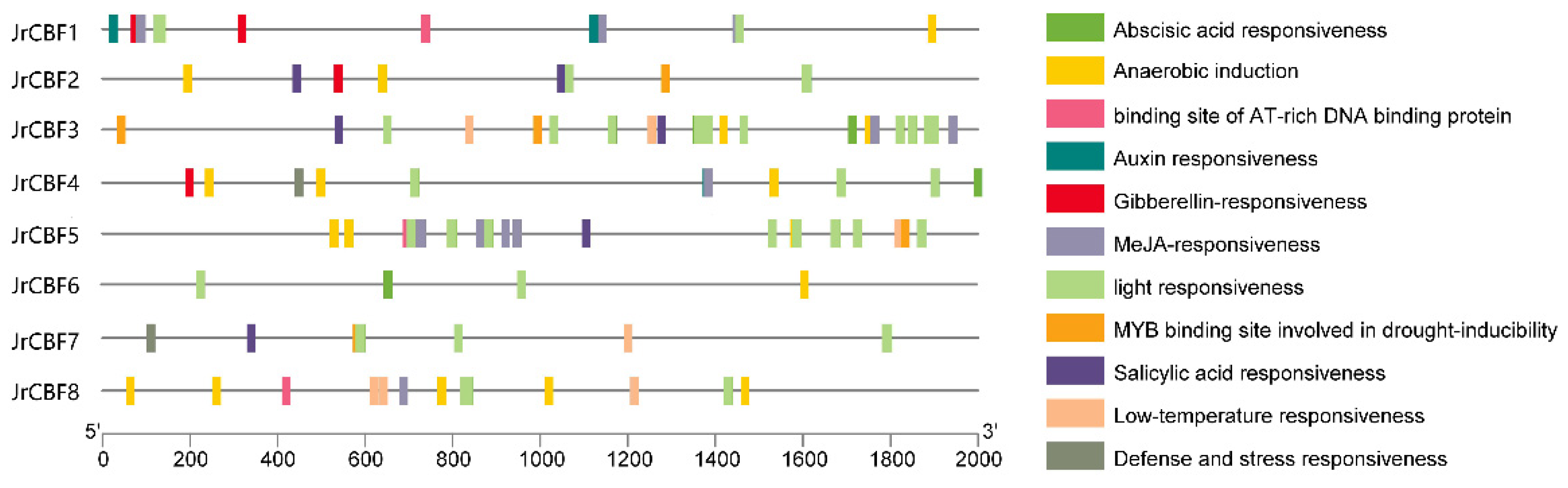 Forests 14 02274 g004