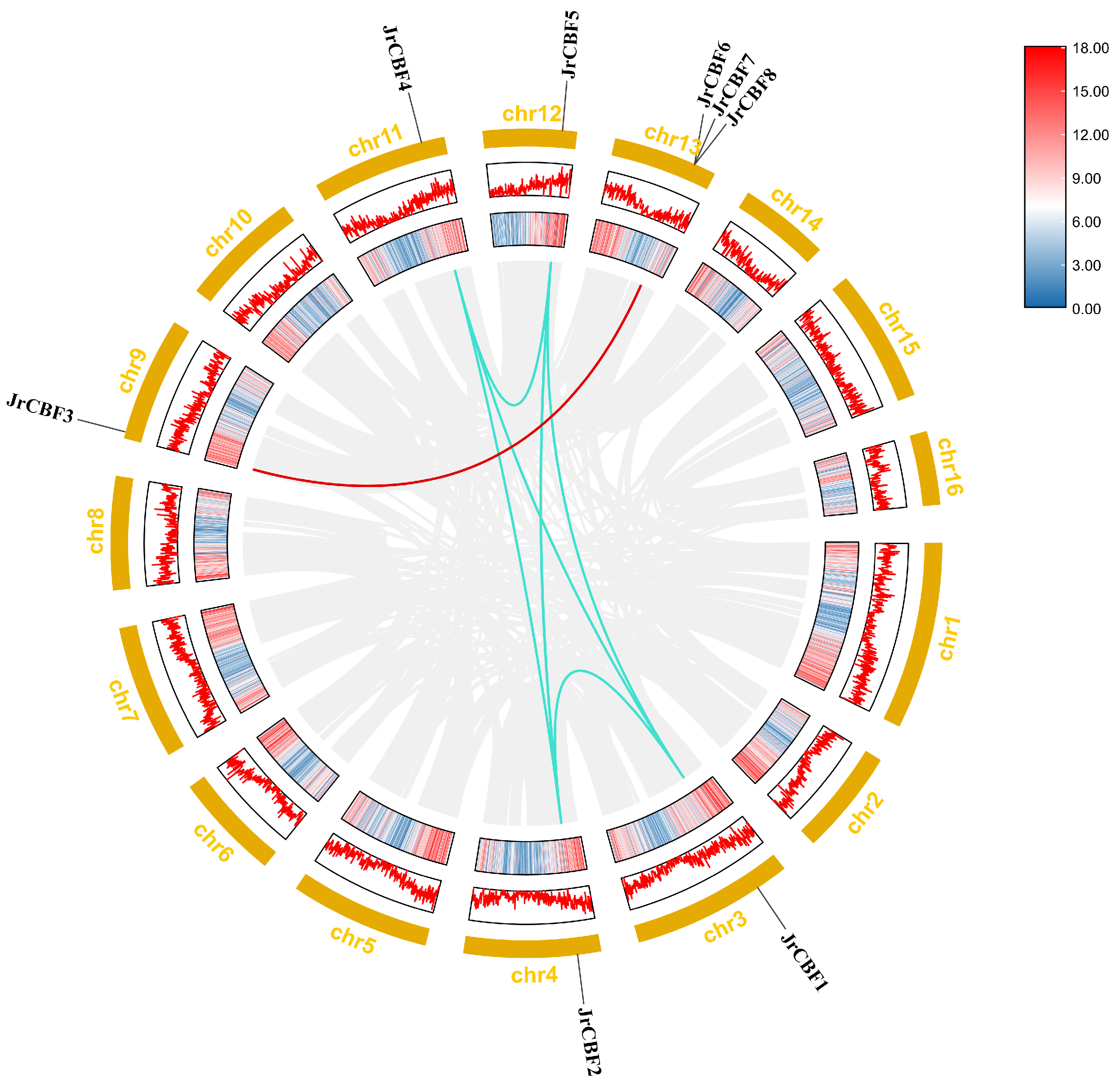 Forests 14 02274 g005