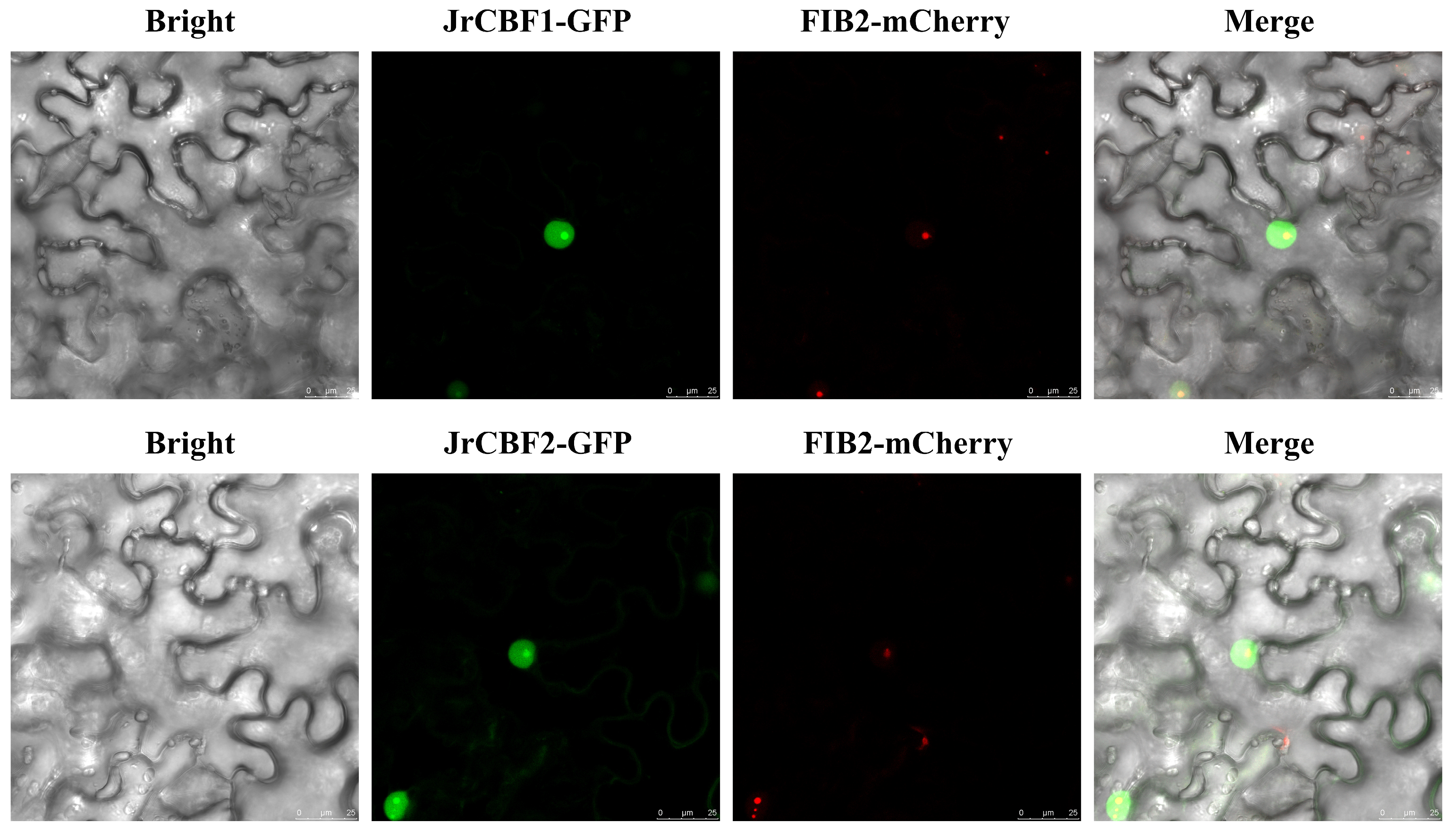 Forests 14 02274 g009
