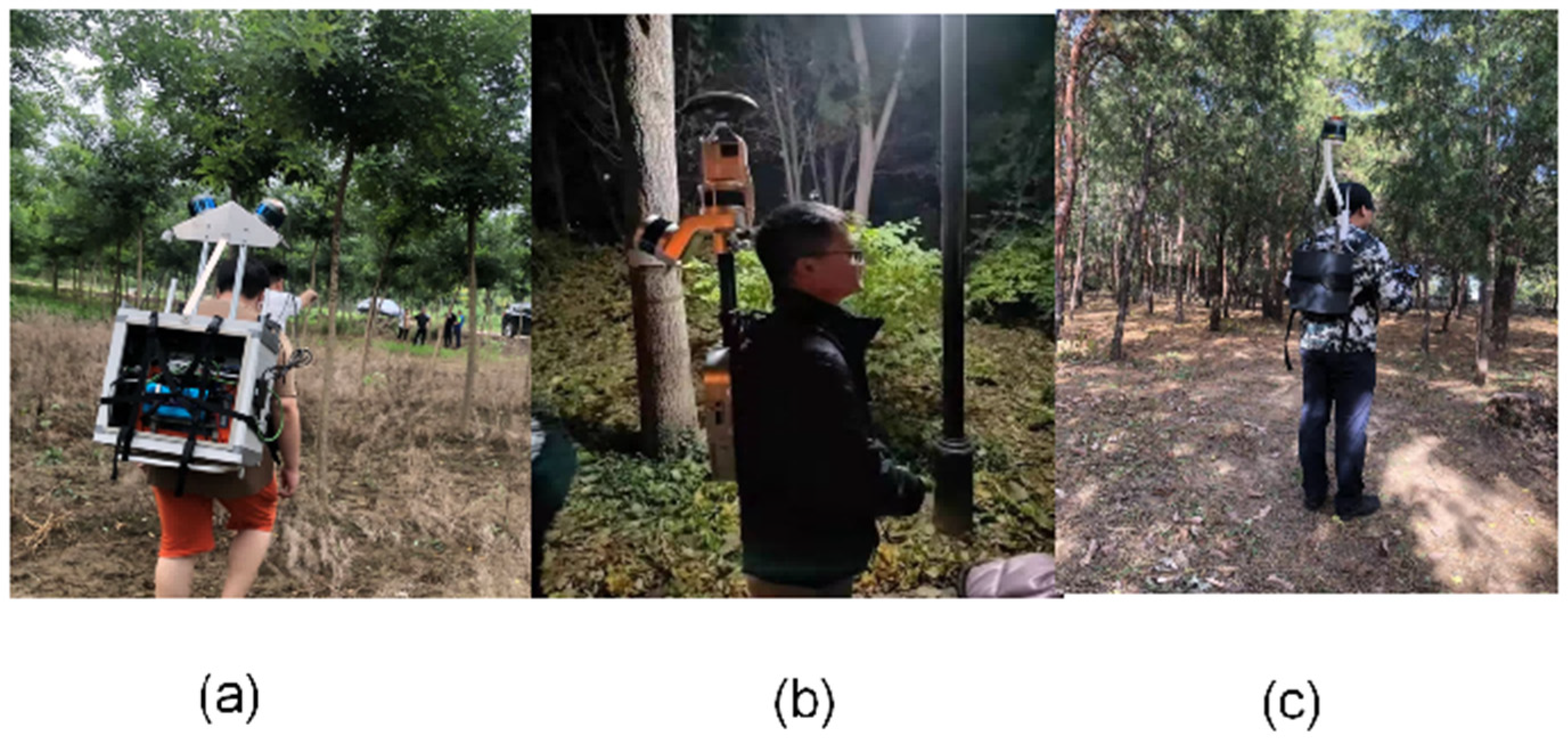 Forests 14 02276 g002