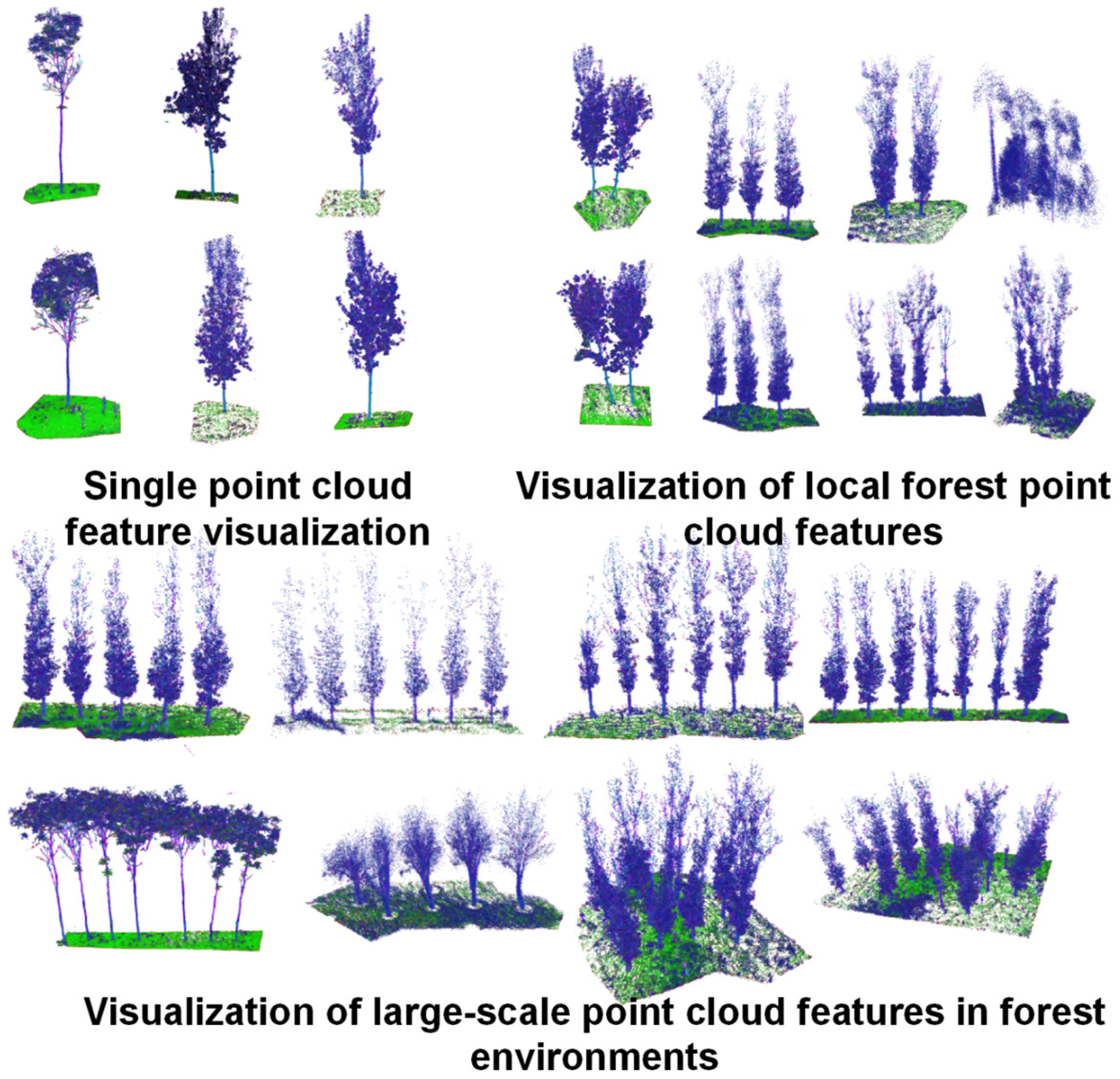 Forests 14 02276 g007