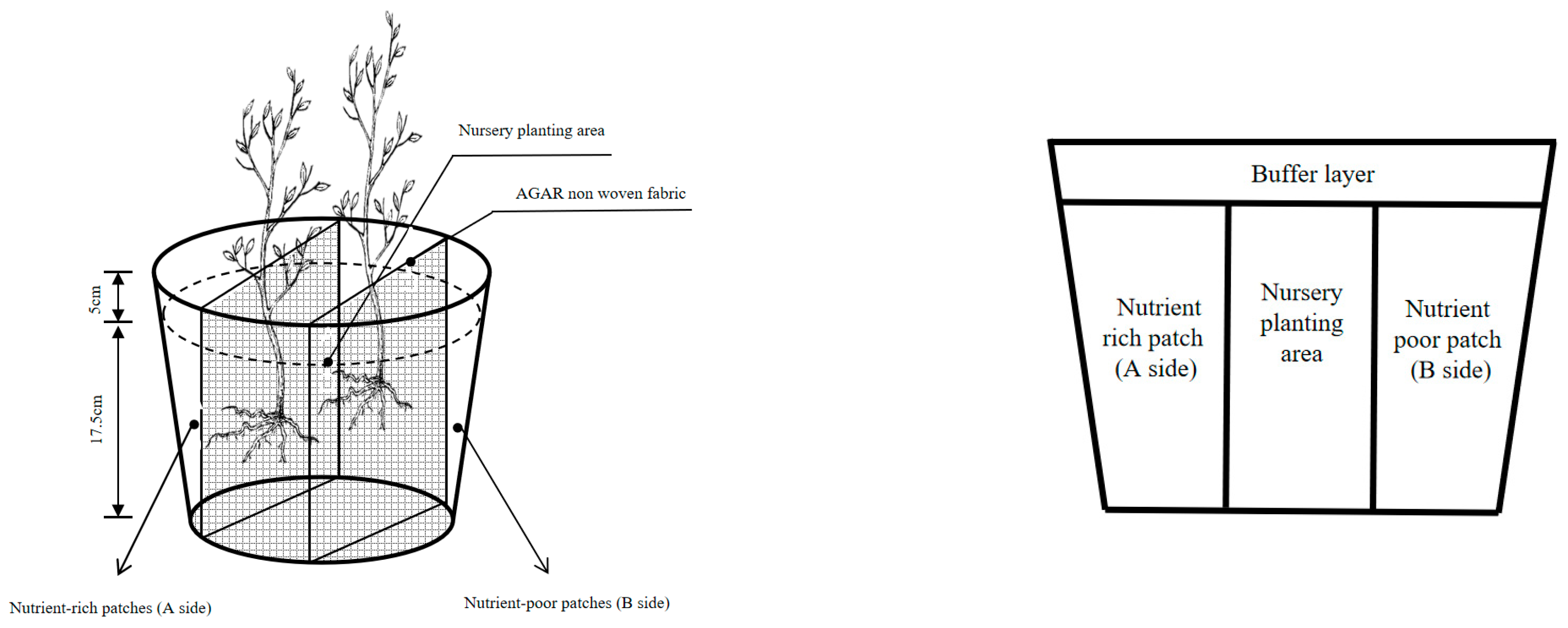 Forests 14 02278 g001