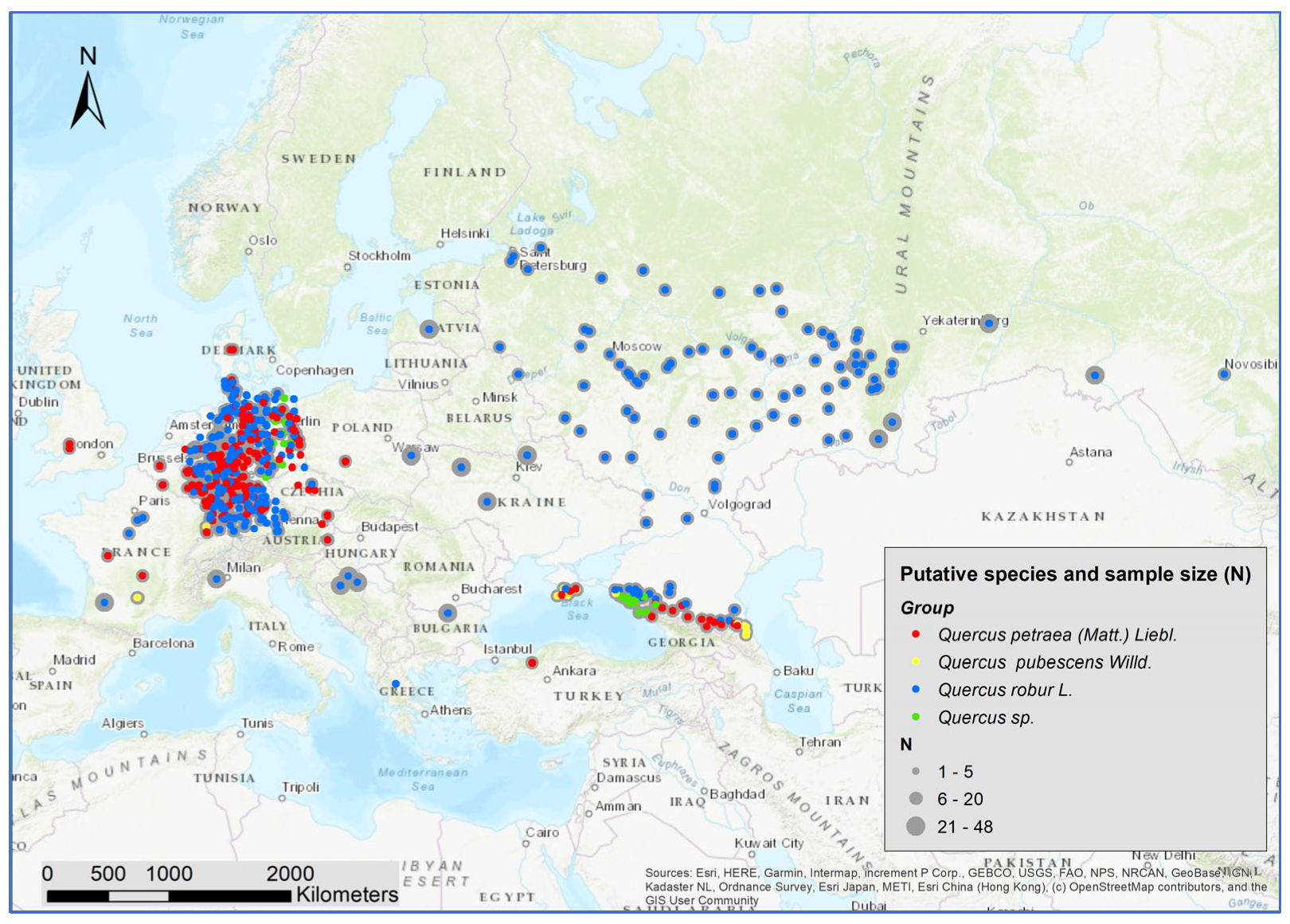 Forests 14 02279 g001 Forests 14 02279 g001