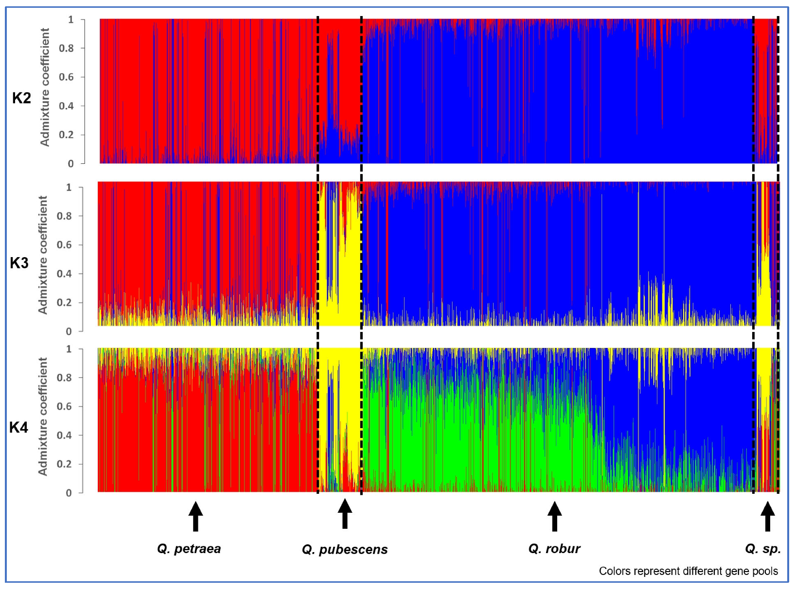 Forests 14 02279 g002 Forests 14 02279 g002