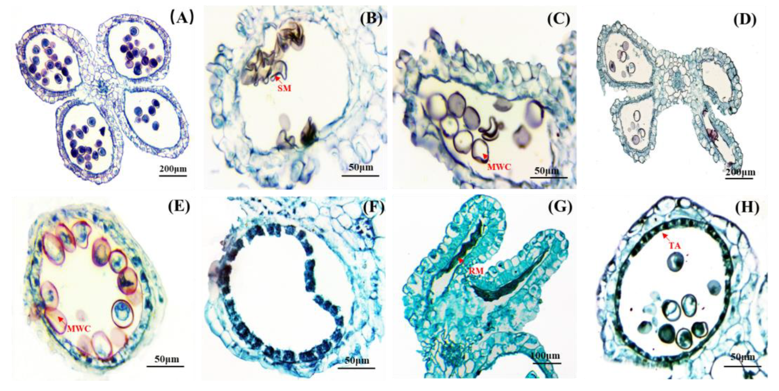 Forests 14 02282 g003
