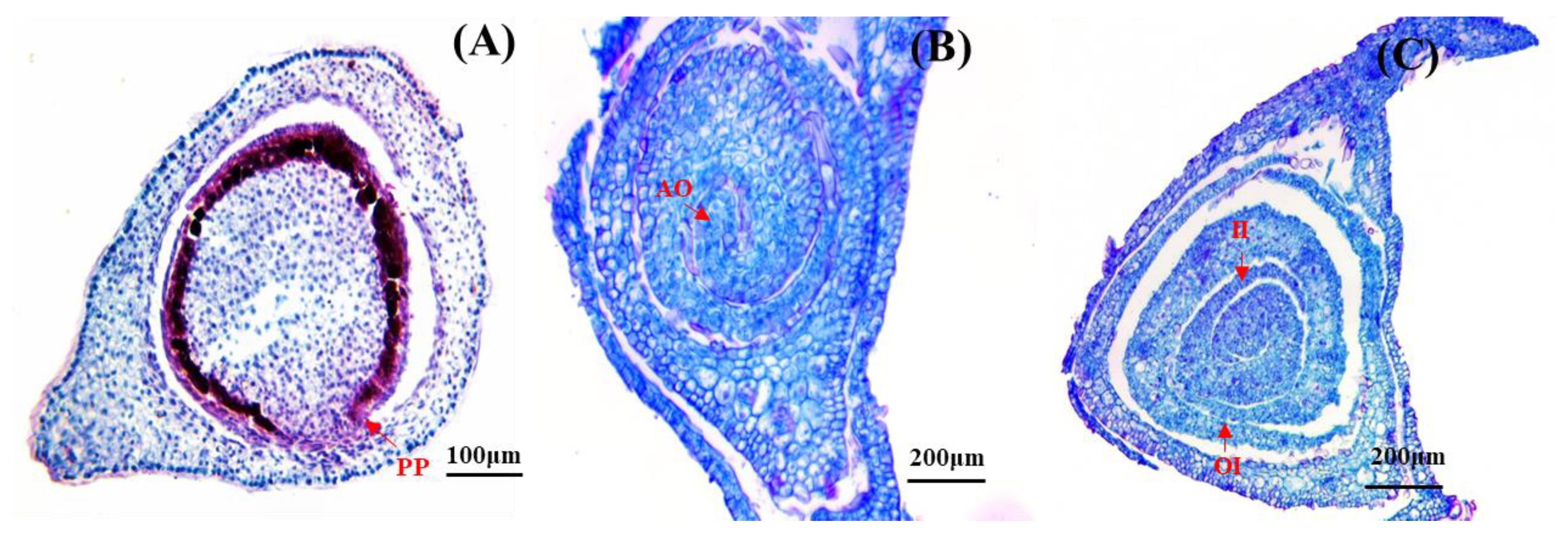 Forests 14 02282 g004