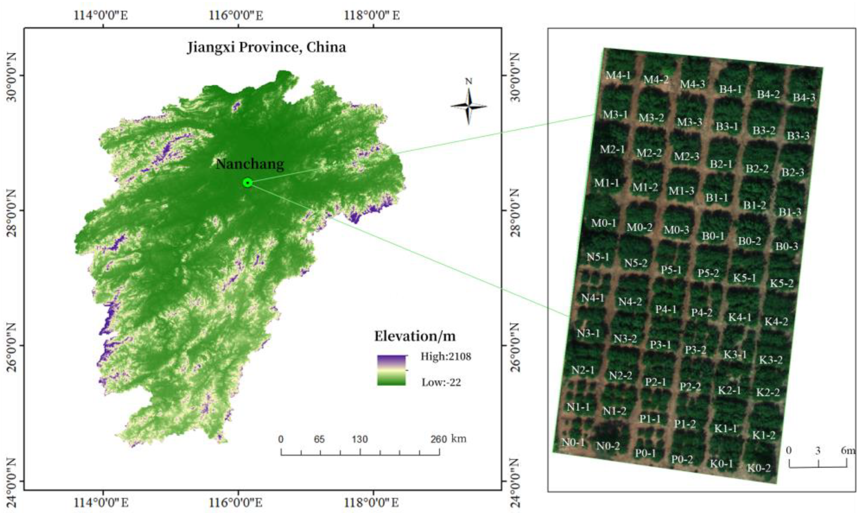 Forests 14 02285 g001