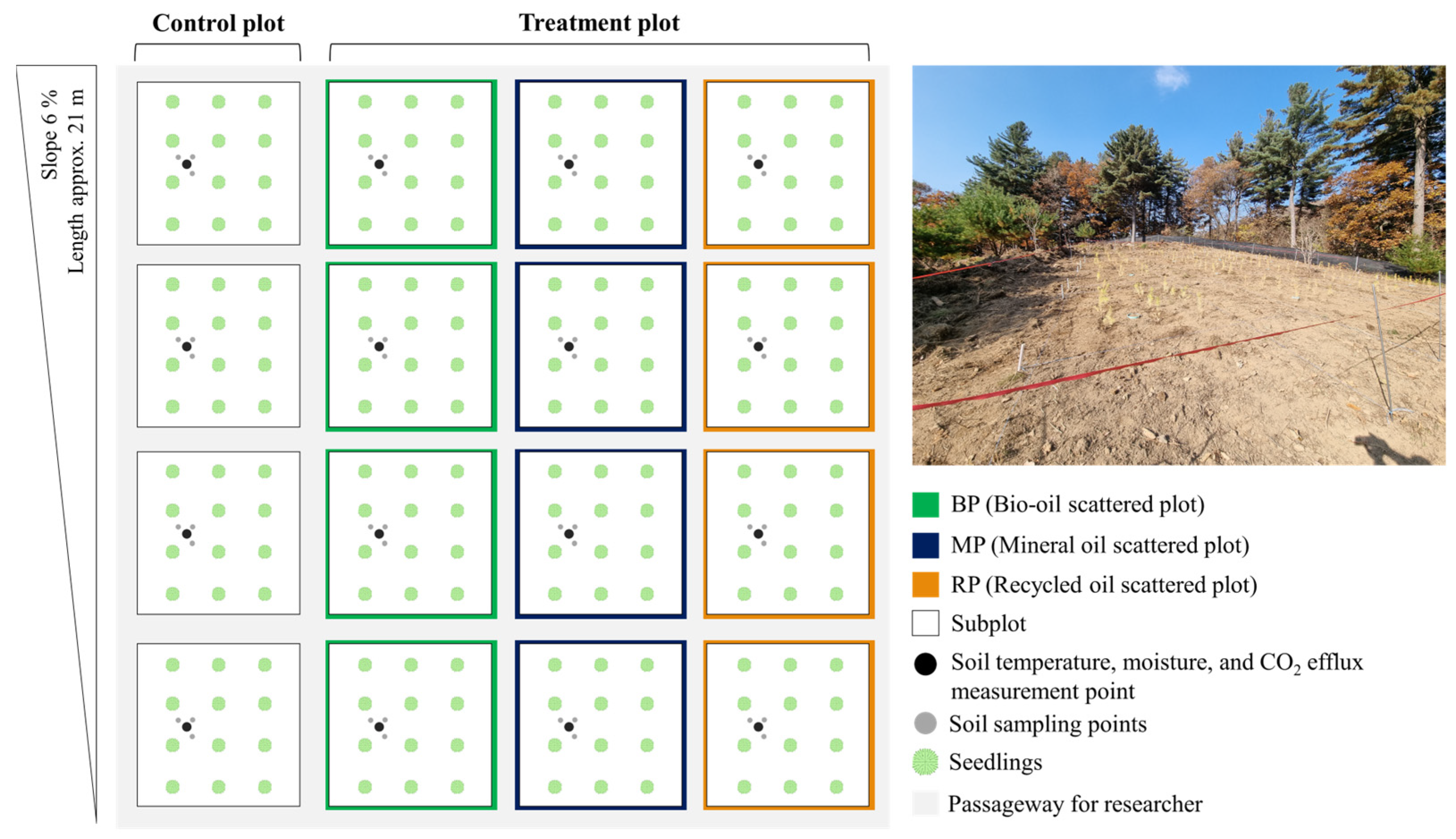 Forests 14 02287 g001