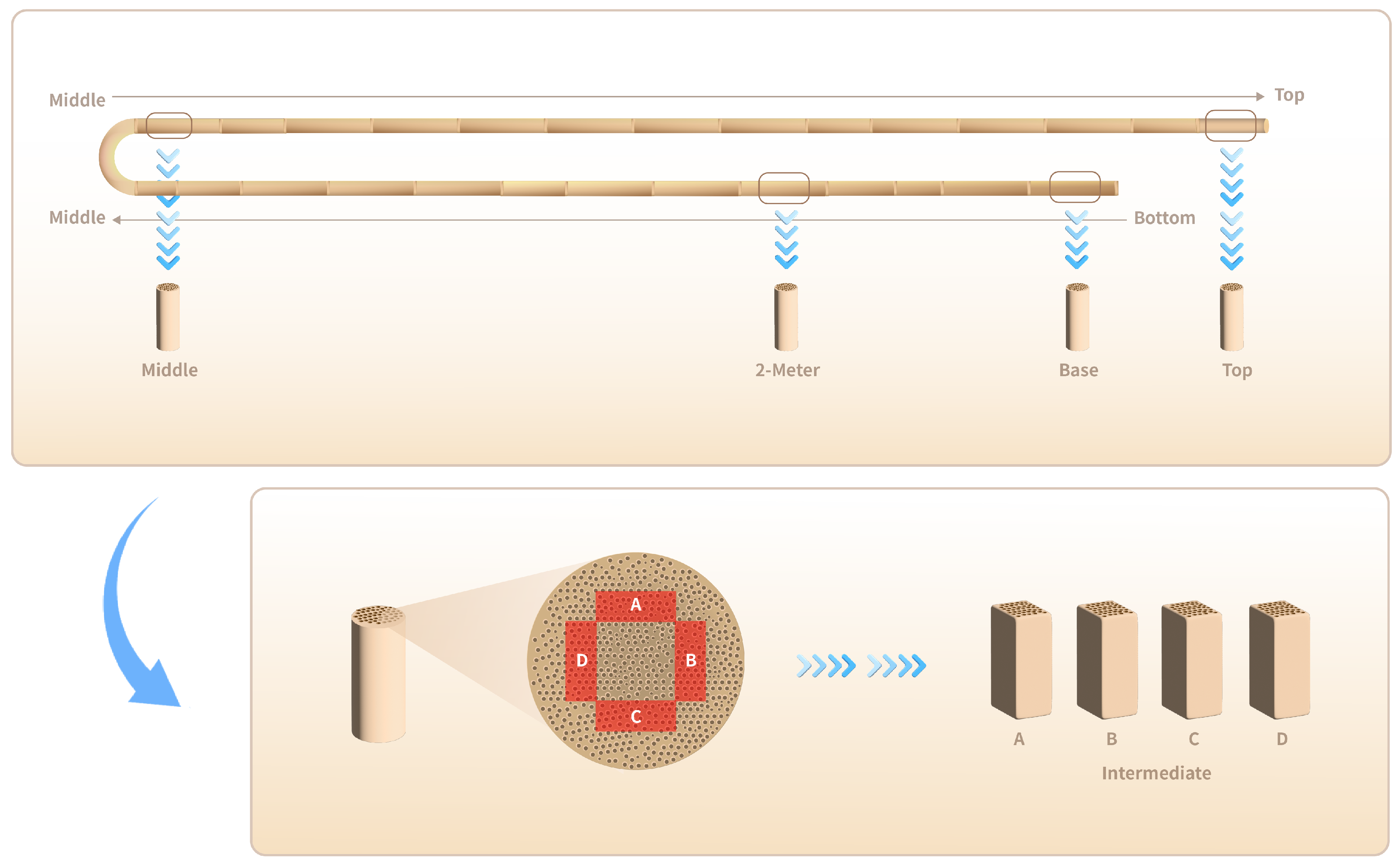 Forests 14 02288 g001