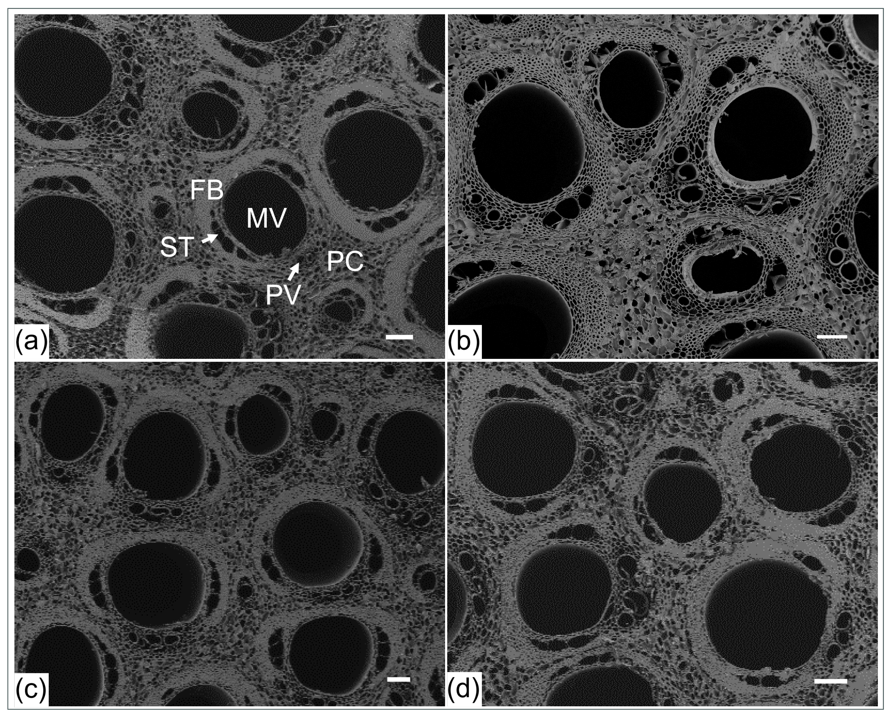 Forests 14 02288 g003