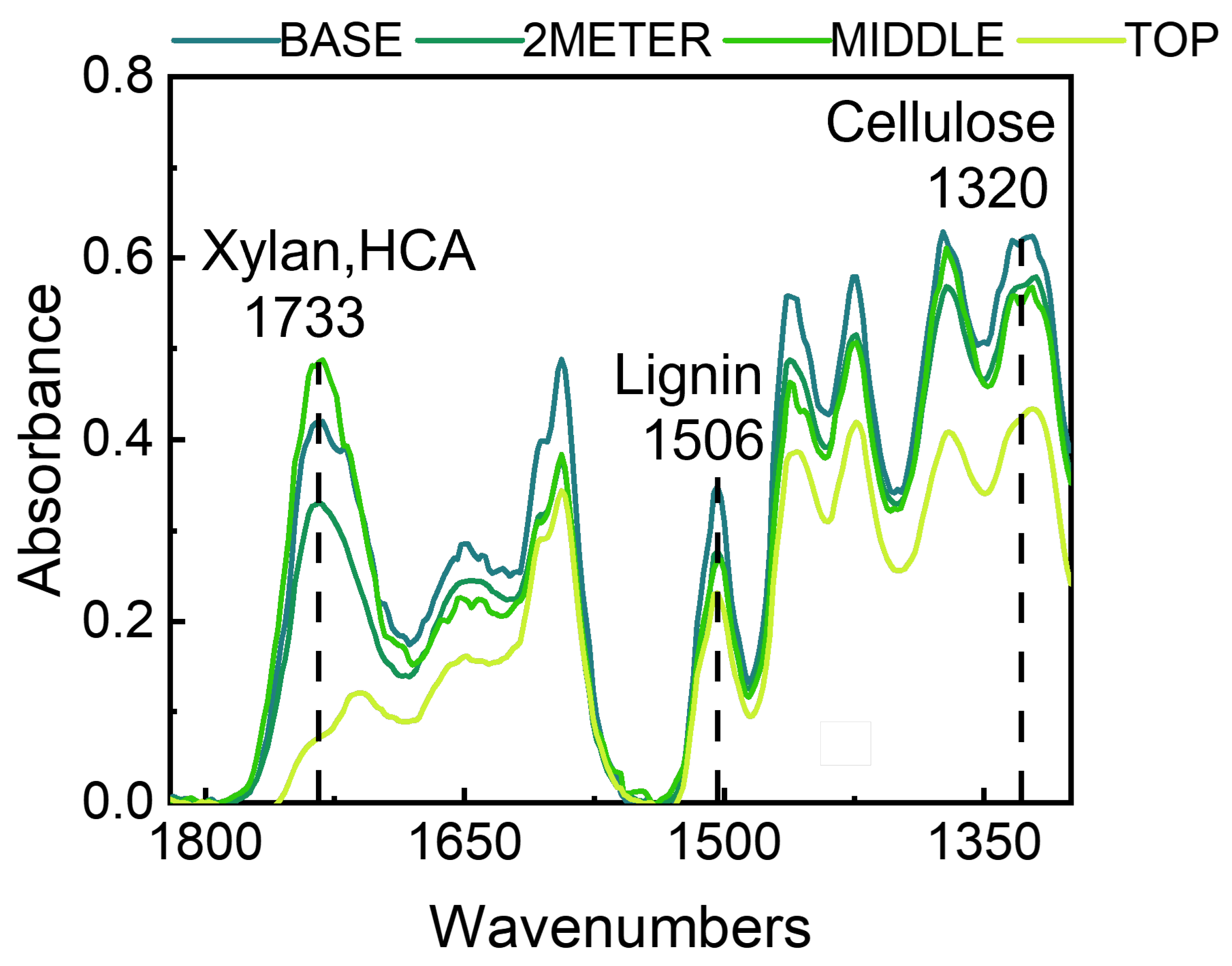 Forests 14 02288 g006